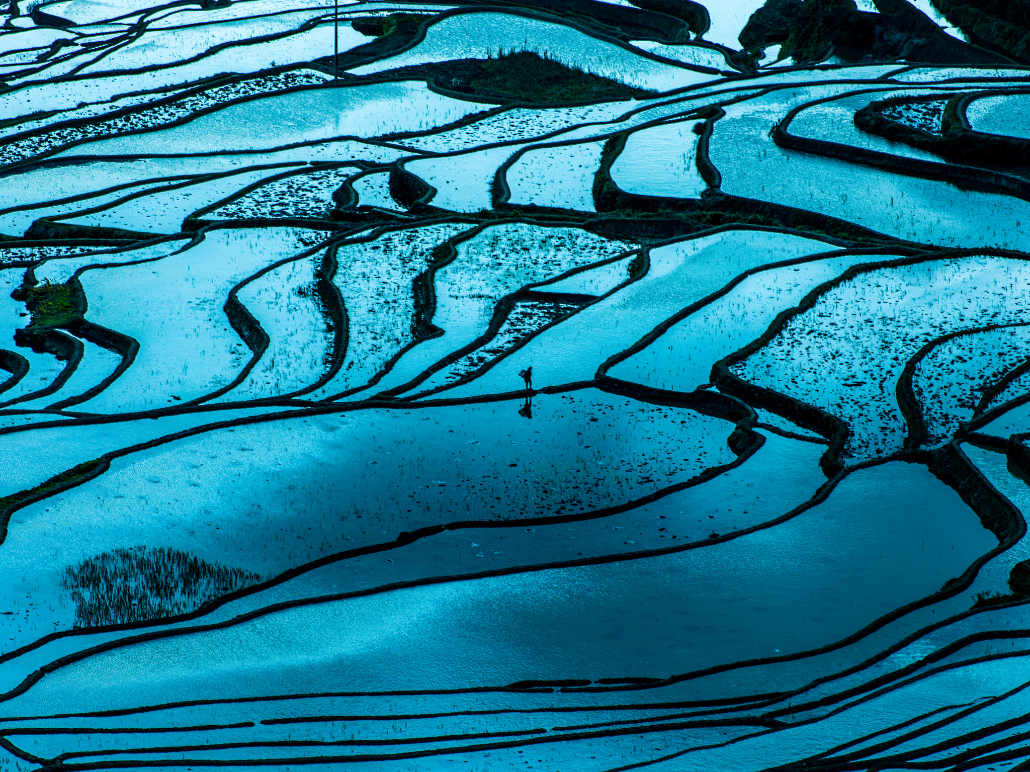 Hasselblad H5D + HC 300 sample photo. Terraced fields in yuanyang photography
