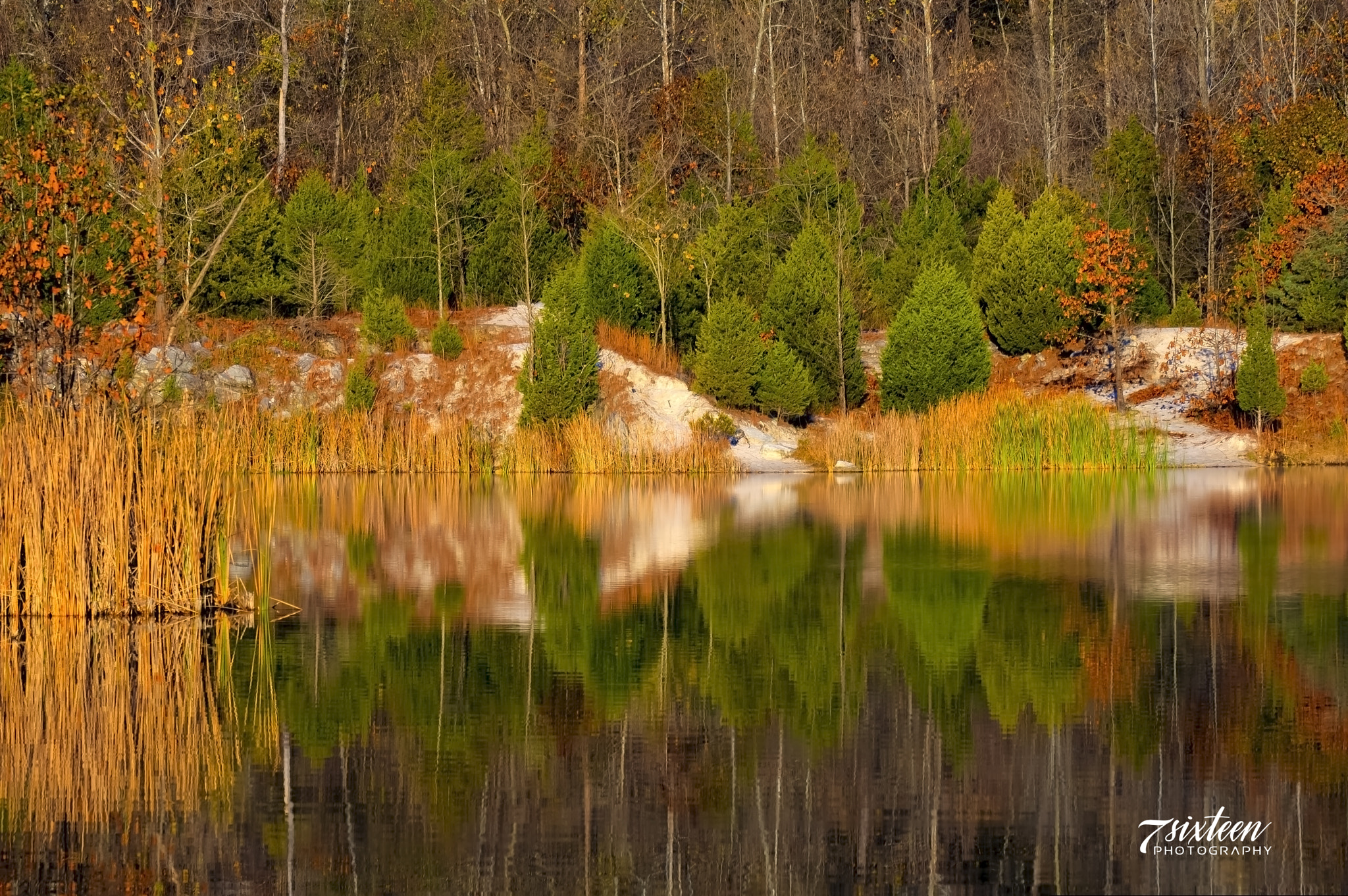 Nikon D500 sample photo. Reflected photography