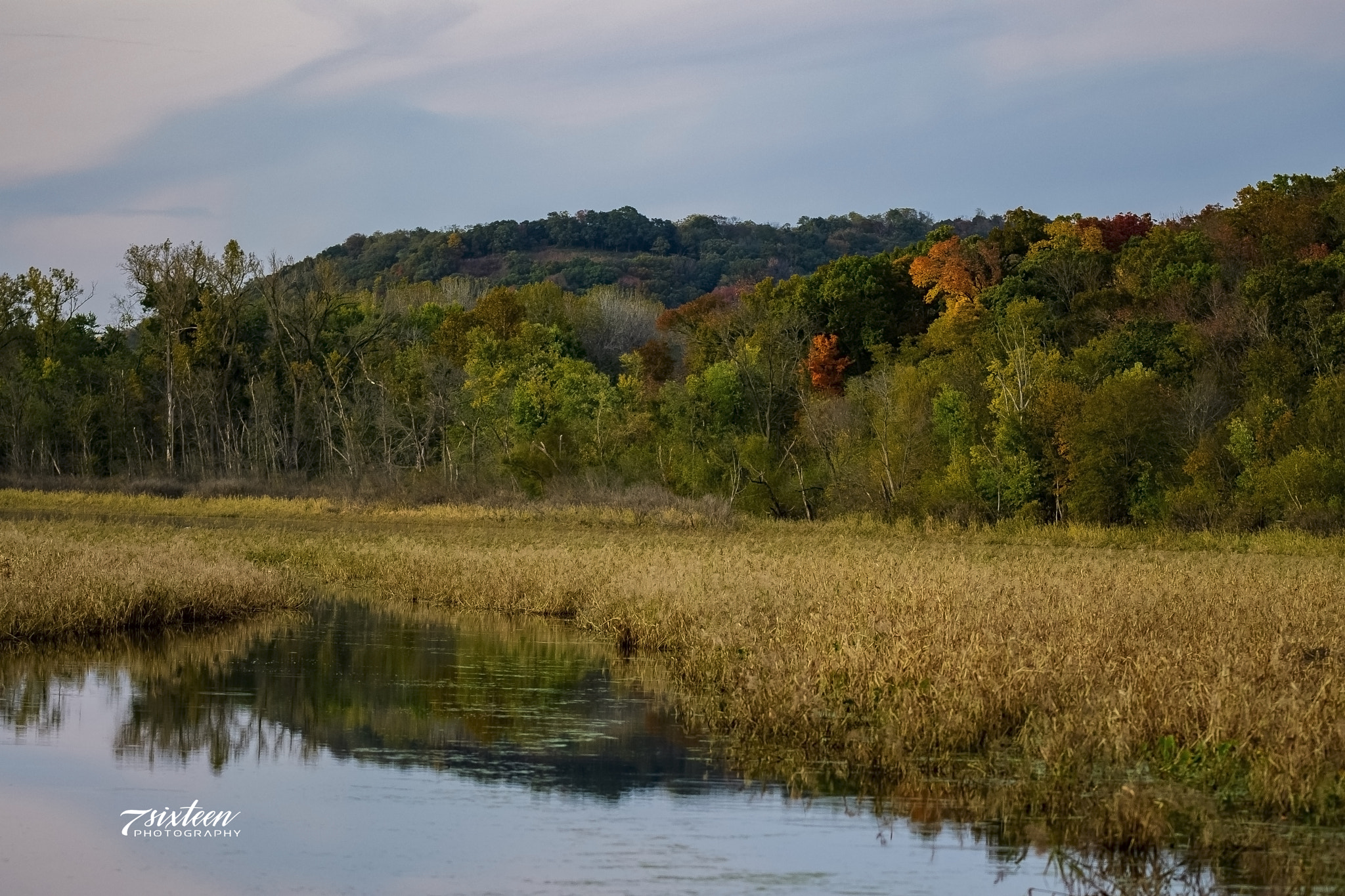 Nikon D500 sample photo. Marsh photography