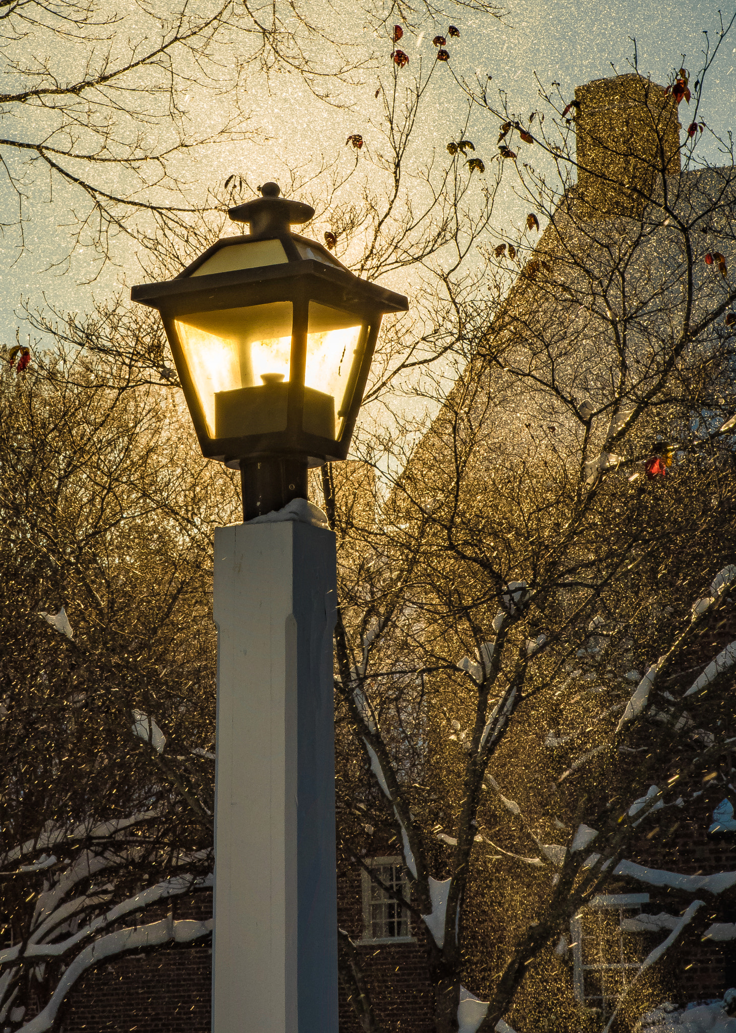 Tamron SP 24-70mm F2.8 Di VC USD sample photo. Sun & snow photography