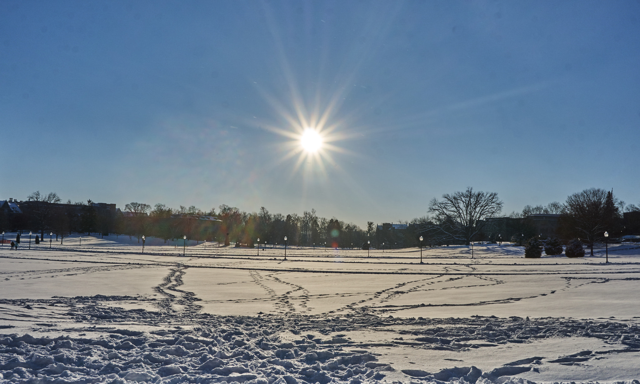 Sony E 20mm F2.8 sample photo. Shining bright photography