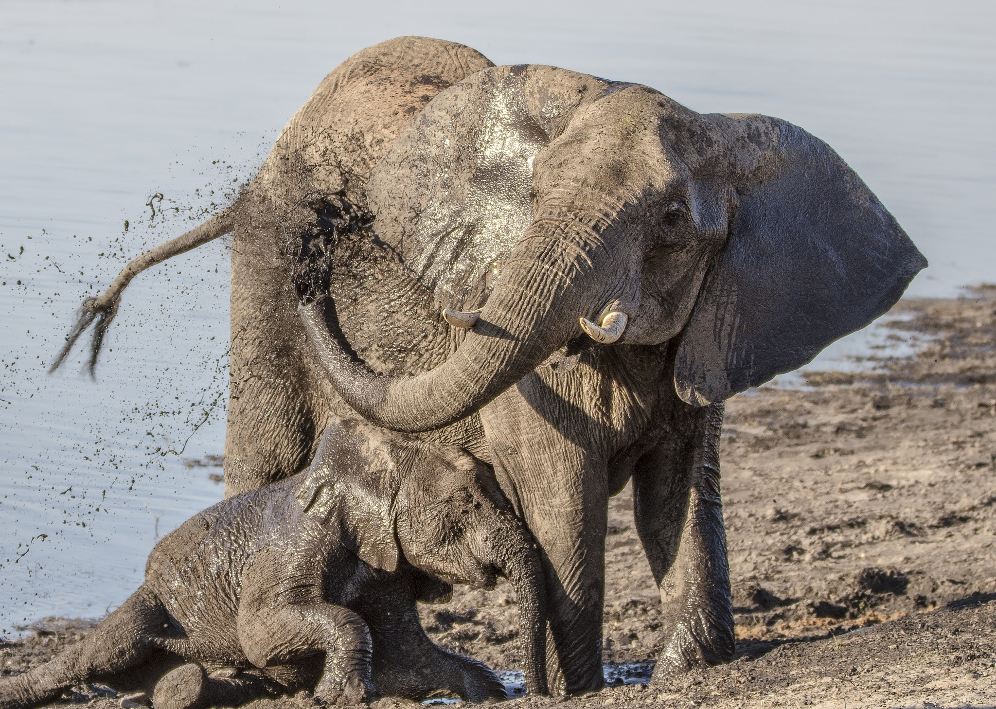 Canon EF 70-200mm F2.8L IS II USM sample photo. I just love these mud baths photography