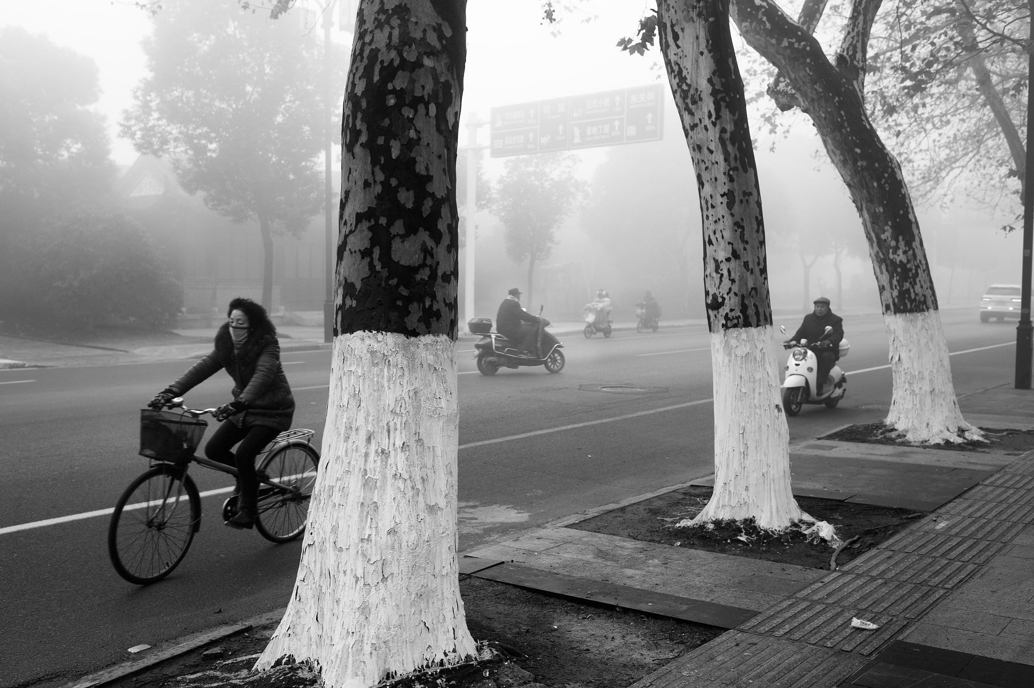 Nikon D4 + Nikon AF-S Nikkor 35mm F1.4G sample photo. The morning mist photography