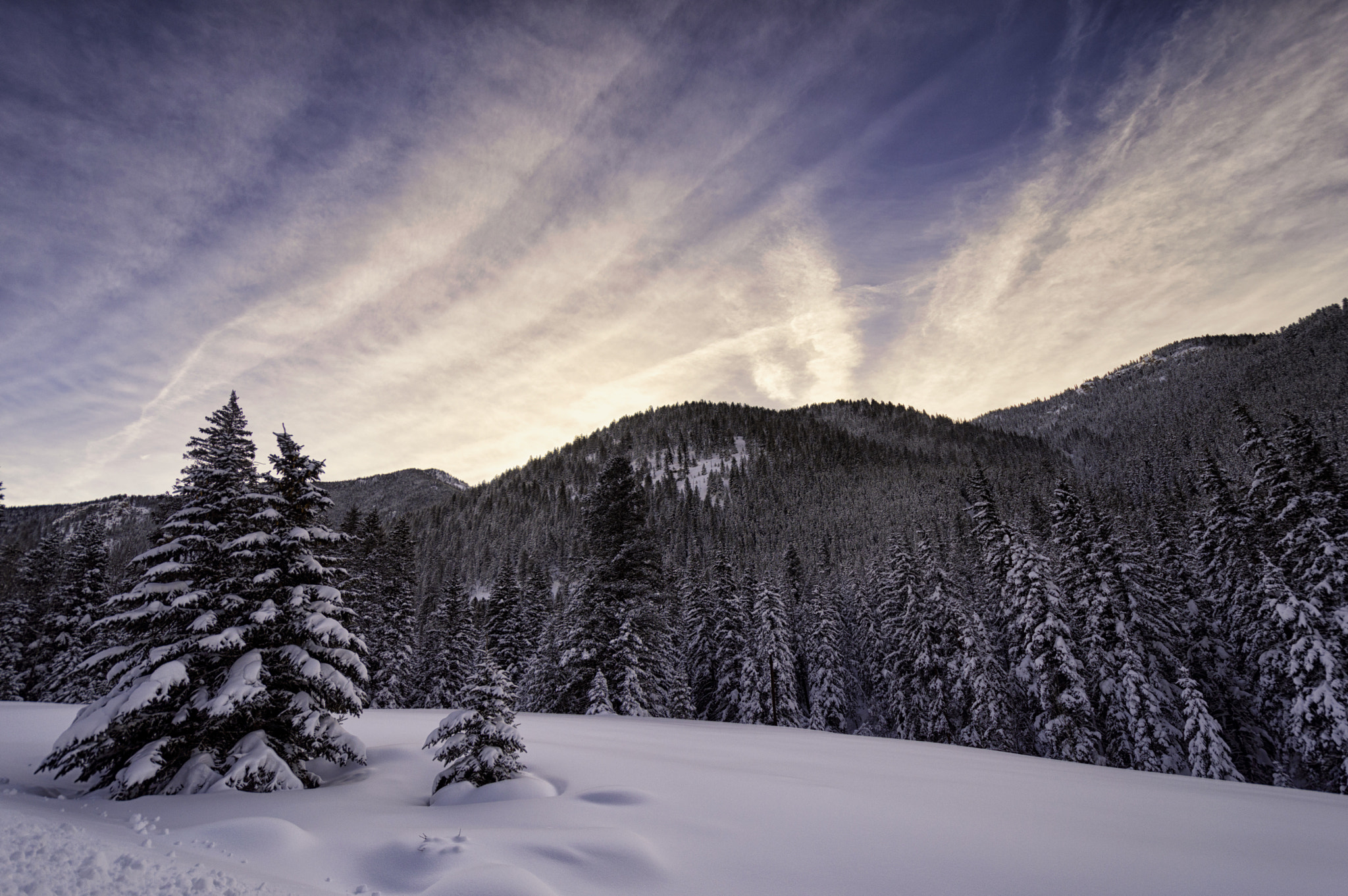 Nikon D3200 sample photo. Crested butte morning photography