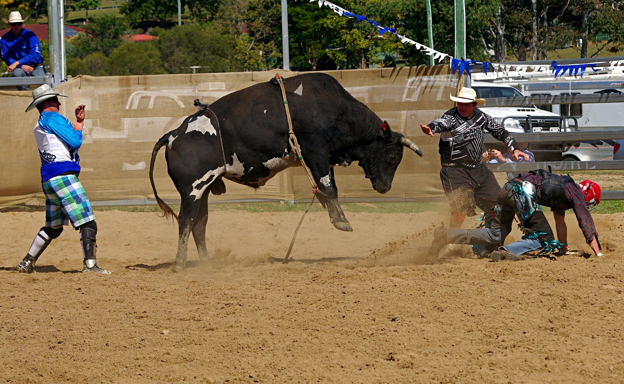 Sigma 70-200mm F2.8 EX DG Macro HSM II sample photo. It's moments like these photography