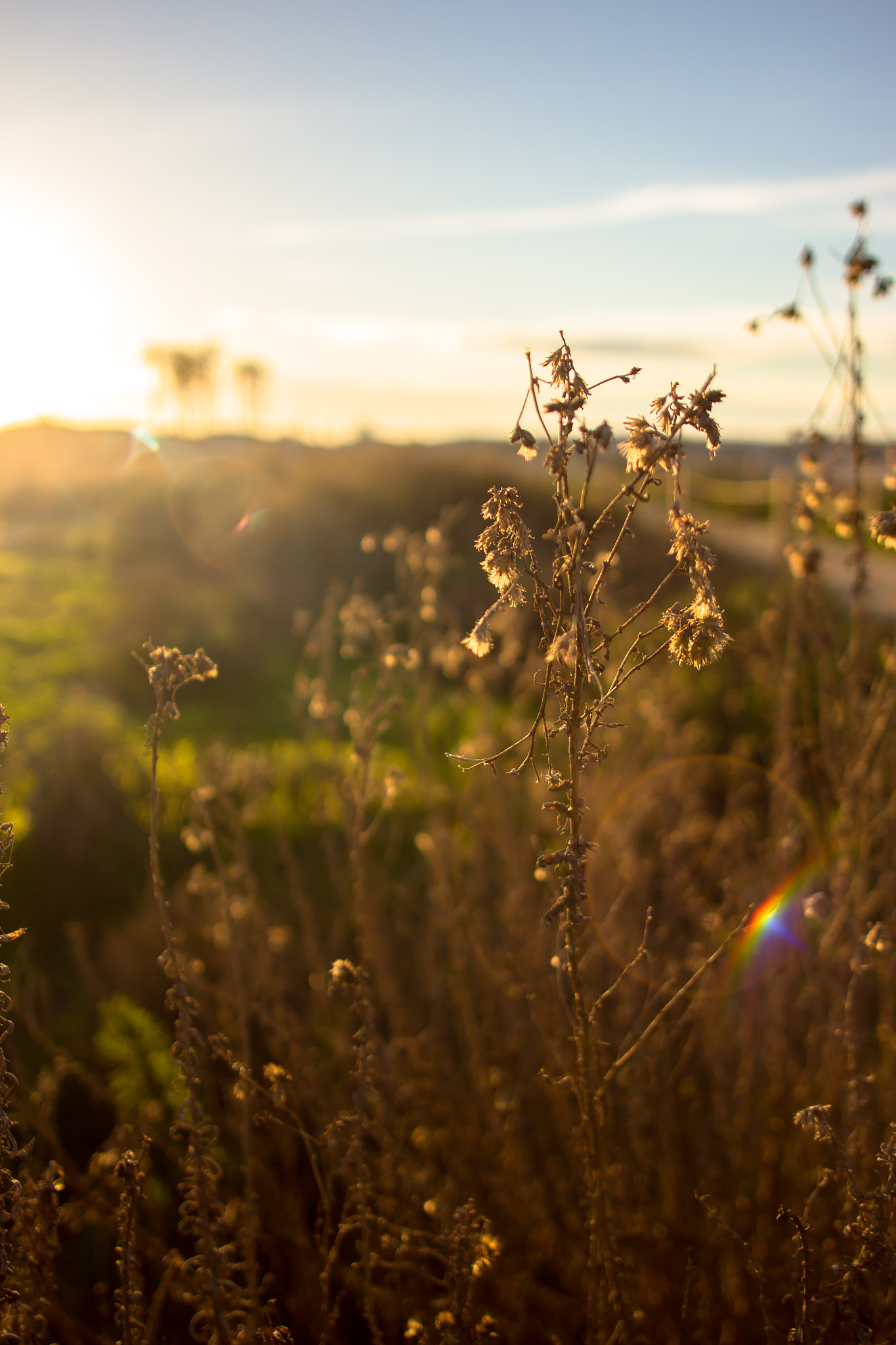 Canon EOS 60D + Canon EF 24mm F2.8 sample photo. Ocean beach, san diego photography