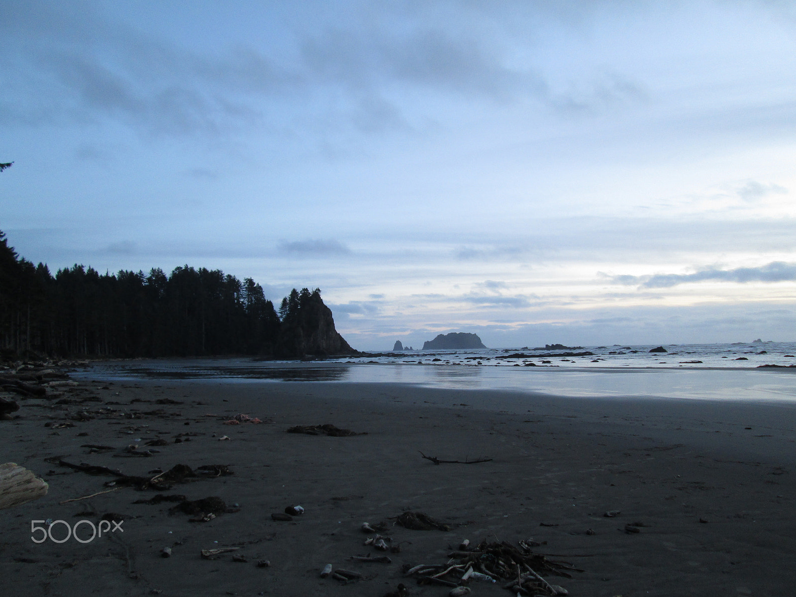 Canon PowerShot A2400 IS sample photo. Washington coastline photography