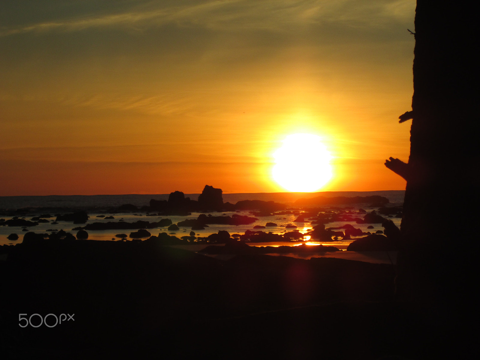 Canon PowerShot A2400 IS sample photo. Washington coastline photography