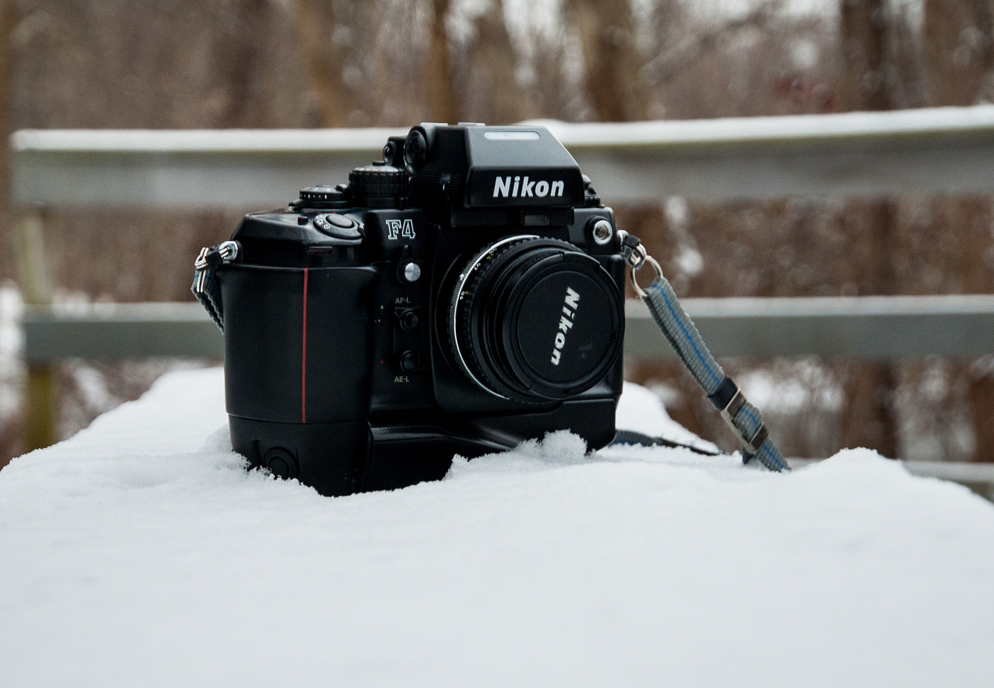 Nikon D40 + Nikon AF-S DX Nikkor 16-85mm F3.5-5.6G ED VR sample photo. Nikon f4 photography