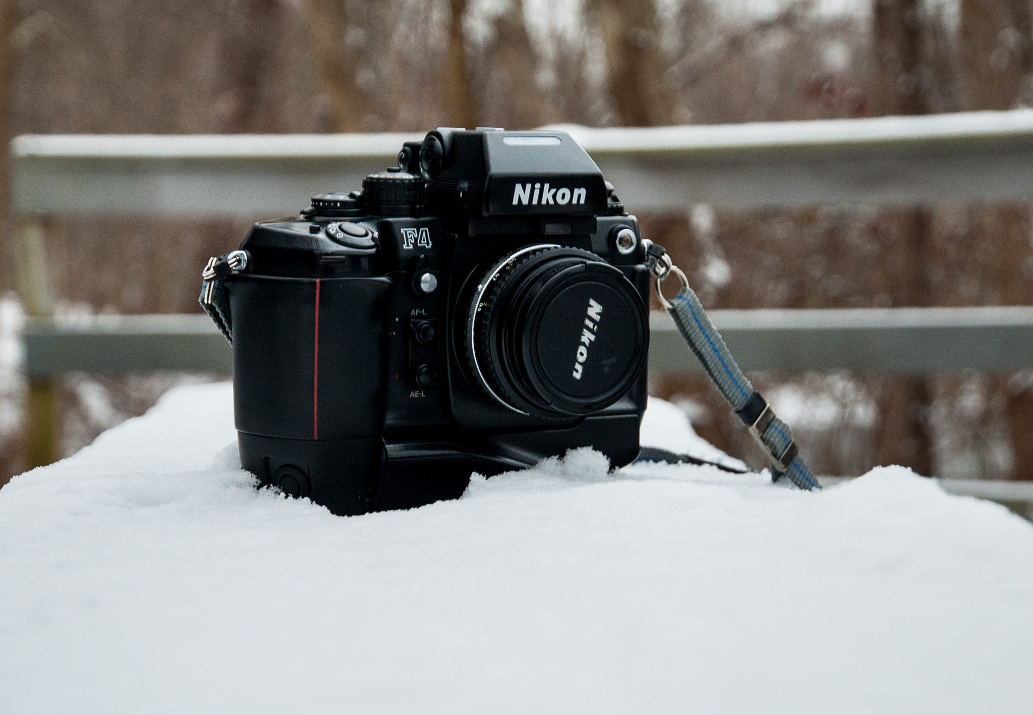 Nikon D40 sample photo. Nikon f4 photography