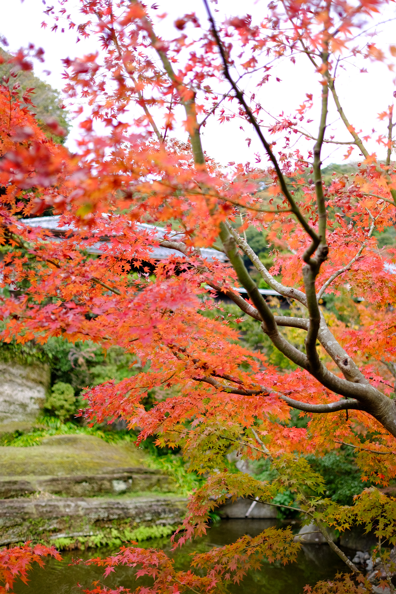 Fujifilm X-E2 + Fujifilm XF 23mm F1.4 R sample photo. Engakuji 円覚寺 photography