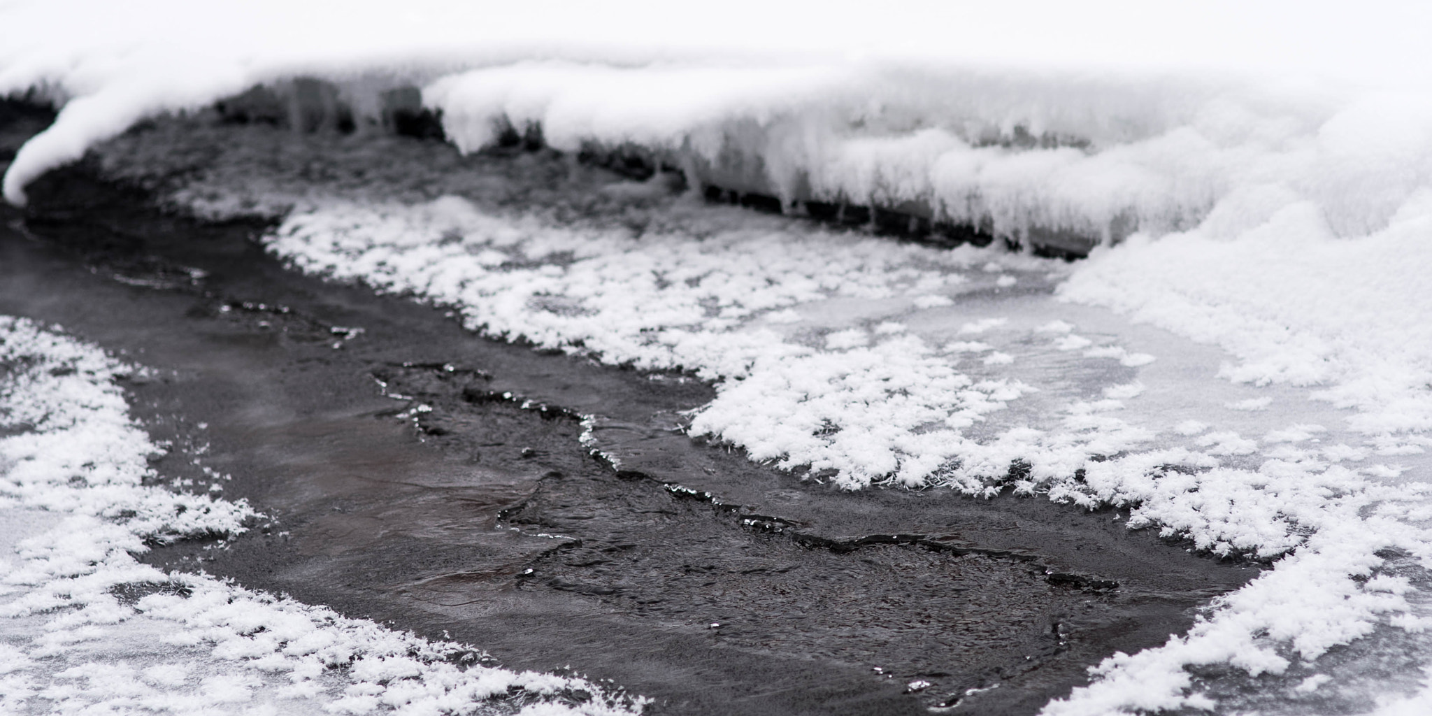 Nikon D750 + Sigma 85mm F1.4 EX DG HSM sample photo. A river runs through it photography