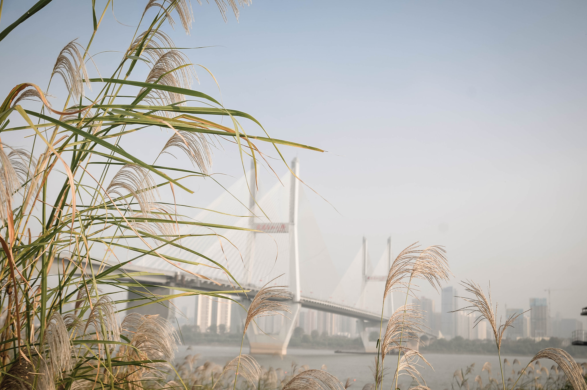 Nikon D300 sample photo. 长江二桥 photography