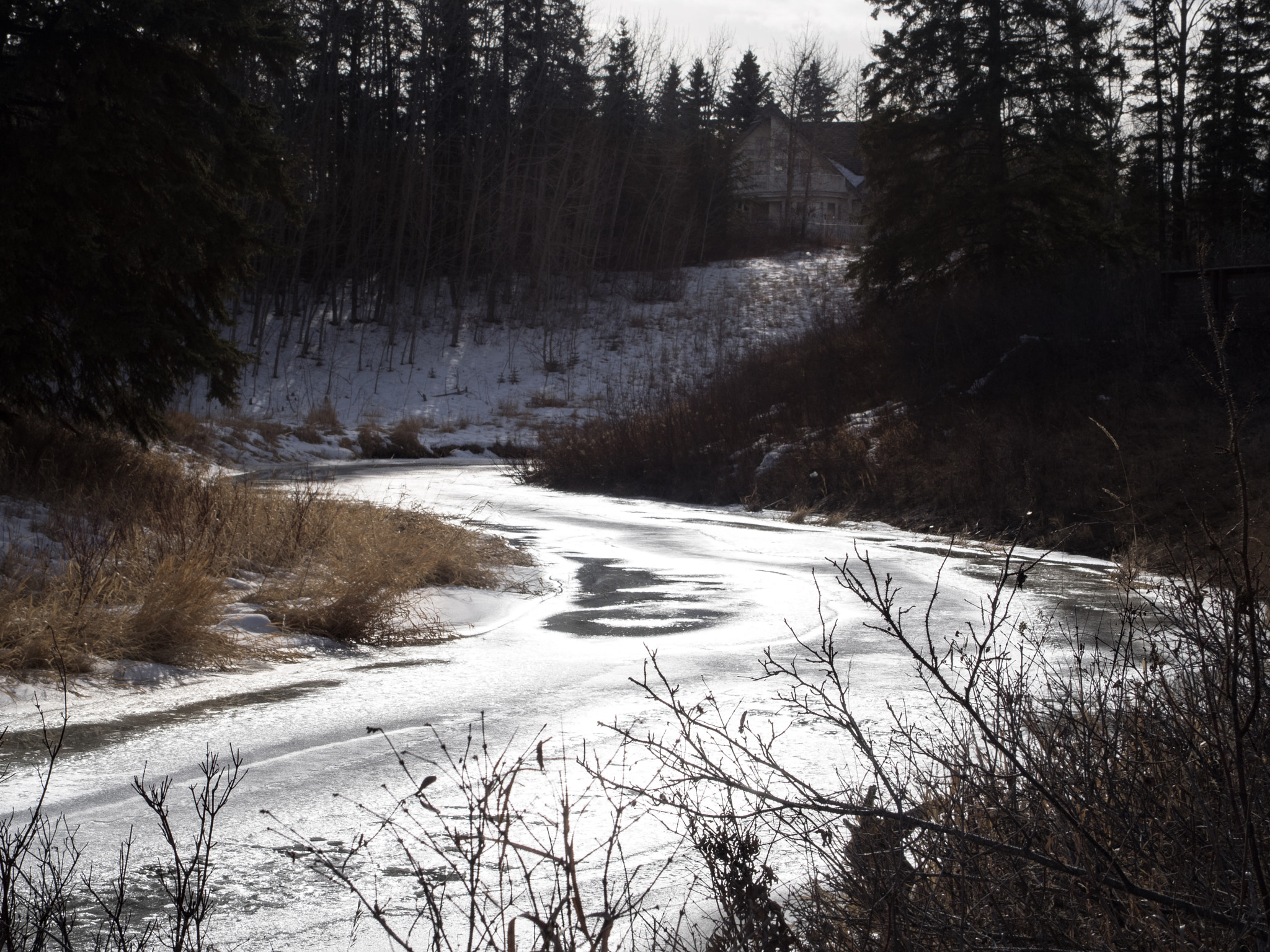 Olympus OM-D E-M1 sample photo. Spring thaw photography