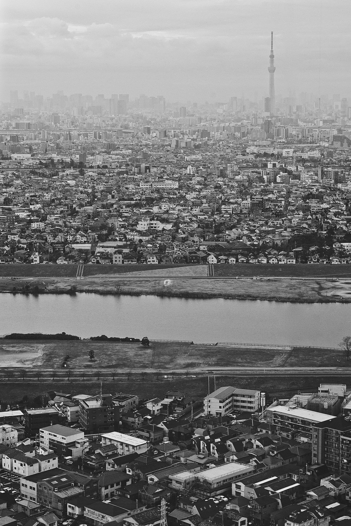 Sony DT 18-250mm F3.5-6.3 sample photo. Skytree city photography