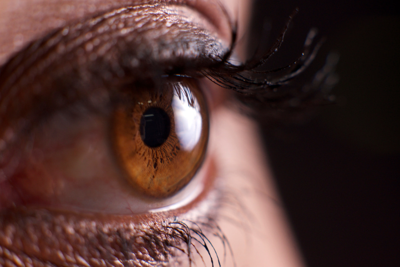Sony SLT-A77 + Sony DT 50mm F1.8 SAM sample photo. Macro eye photography