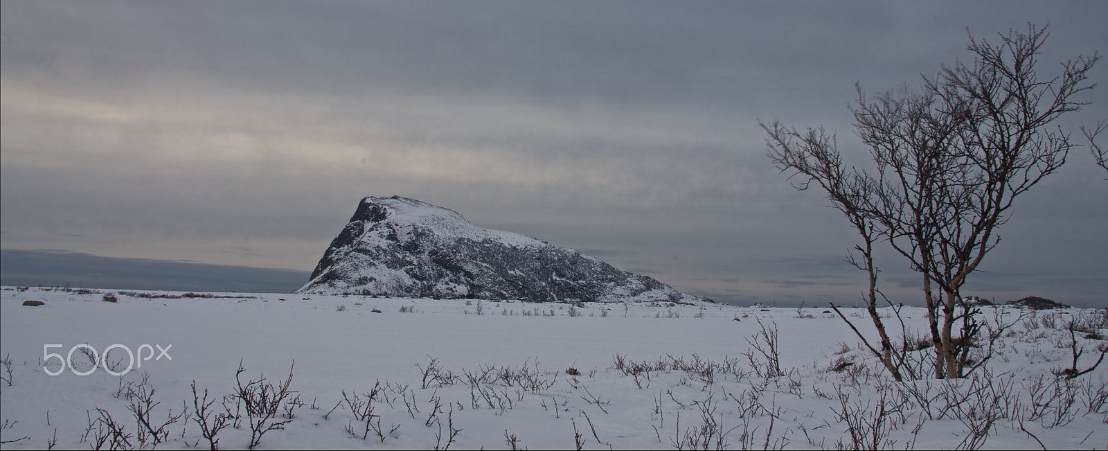 Tamron AF 18-250mm F3.5-6.3 Di II LD Aspherical (IF) Macro sample photo. Lofoten photography