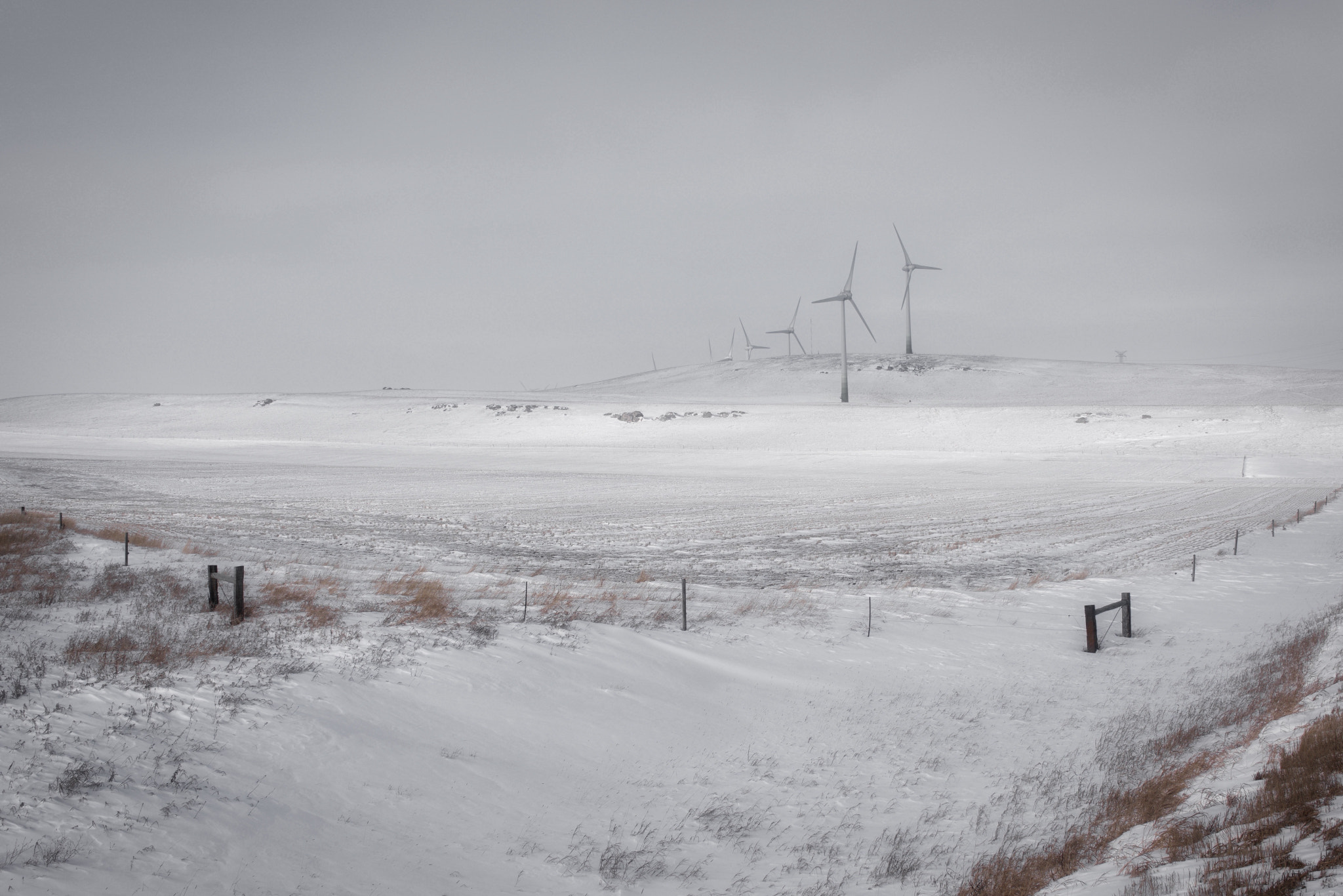 Sony Cyber-shot DSC-RX1R II + Sony 35mm F2.0 sample photo. Winter wind photography