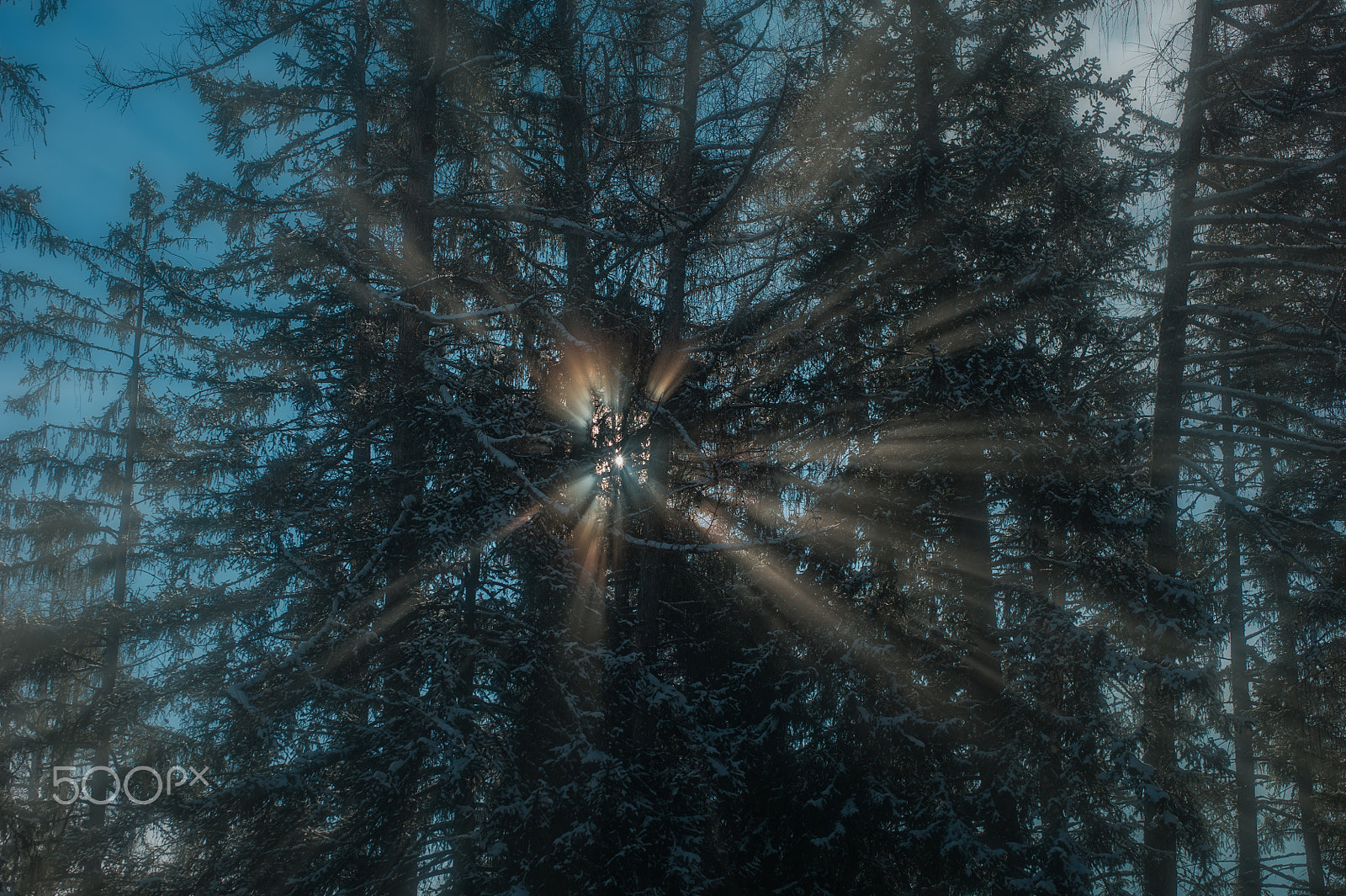 Nikon D3S + AF Zoom-Nikkor 35-70mm f/2.8D sample photo. Rayons photography