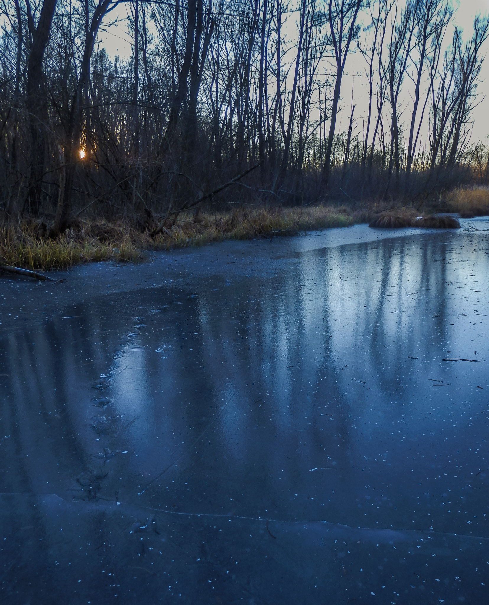 Olympus SZ-31MR sample photo. Frozen footprints. photography