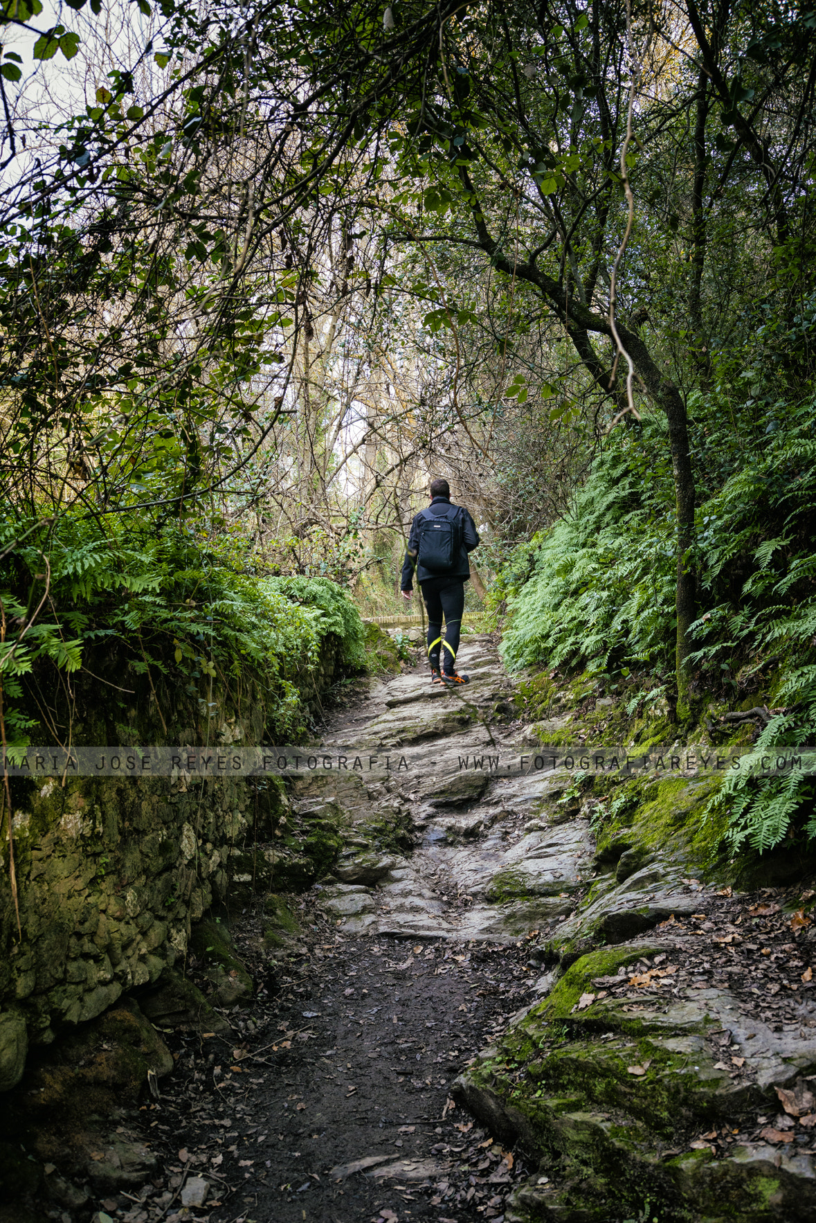 Nikon D800 sample photo. Riera de molins de rei photography