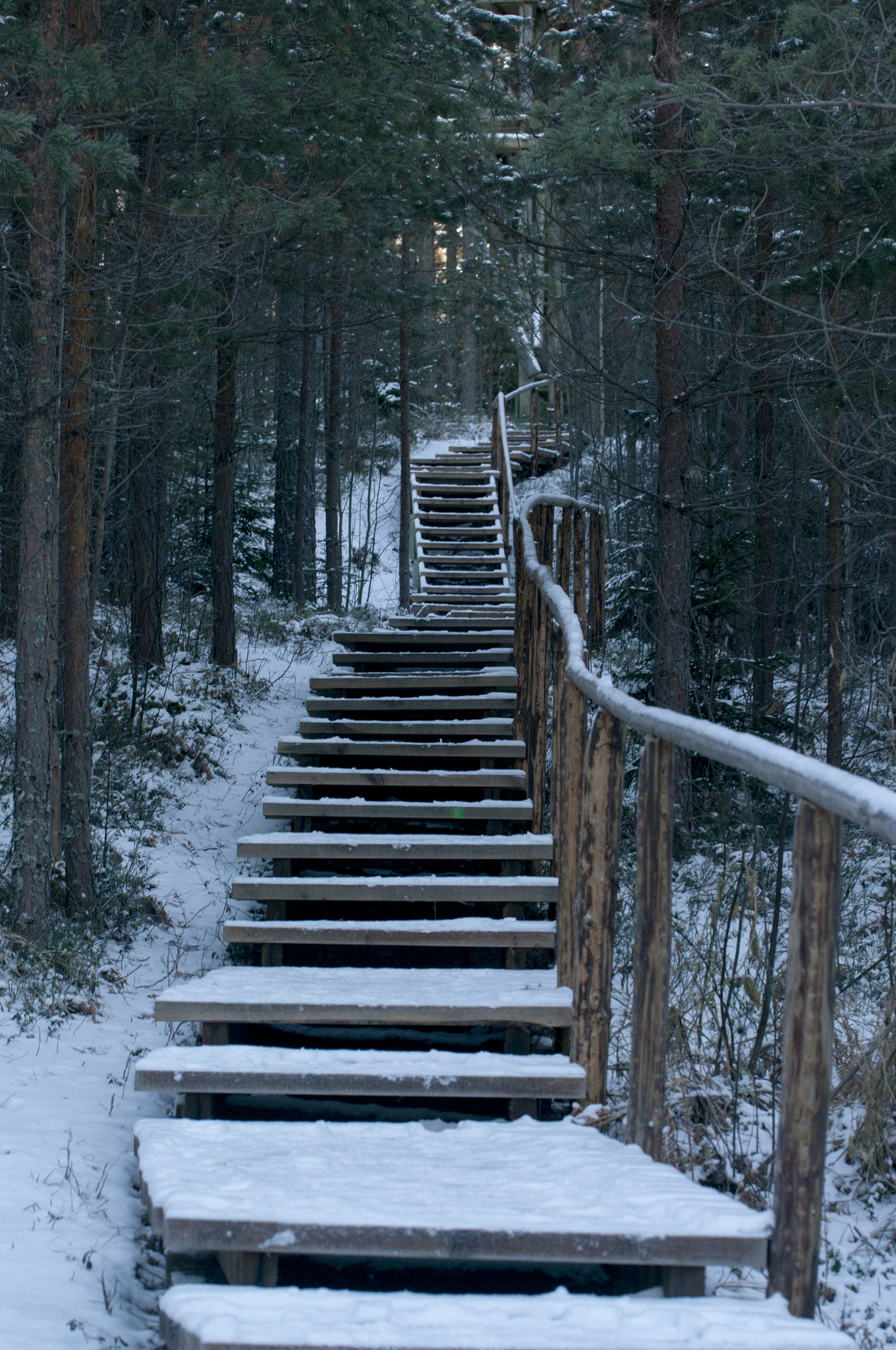 Pentax K20D sample photo. Stairway photography