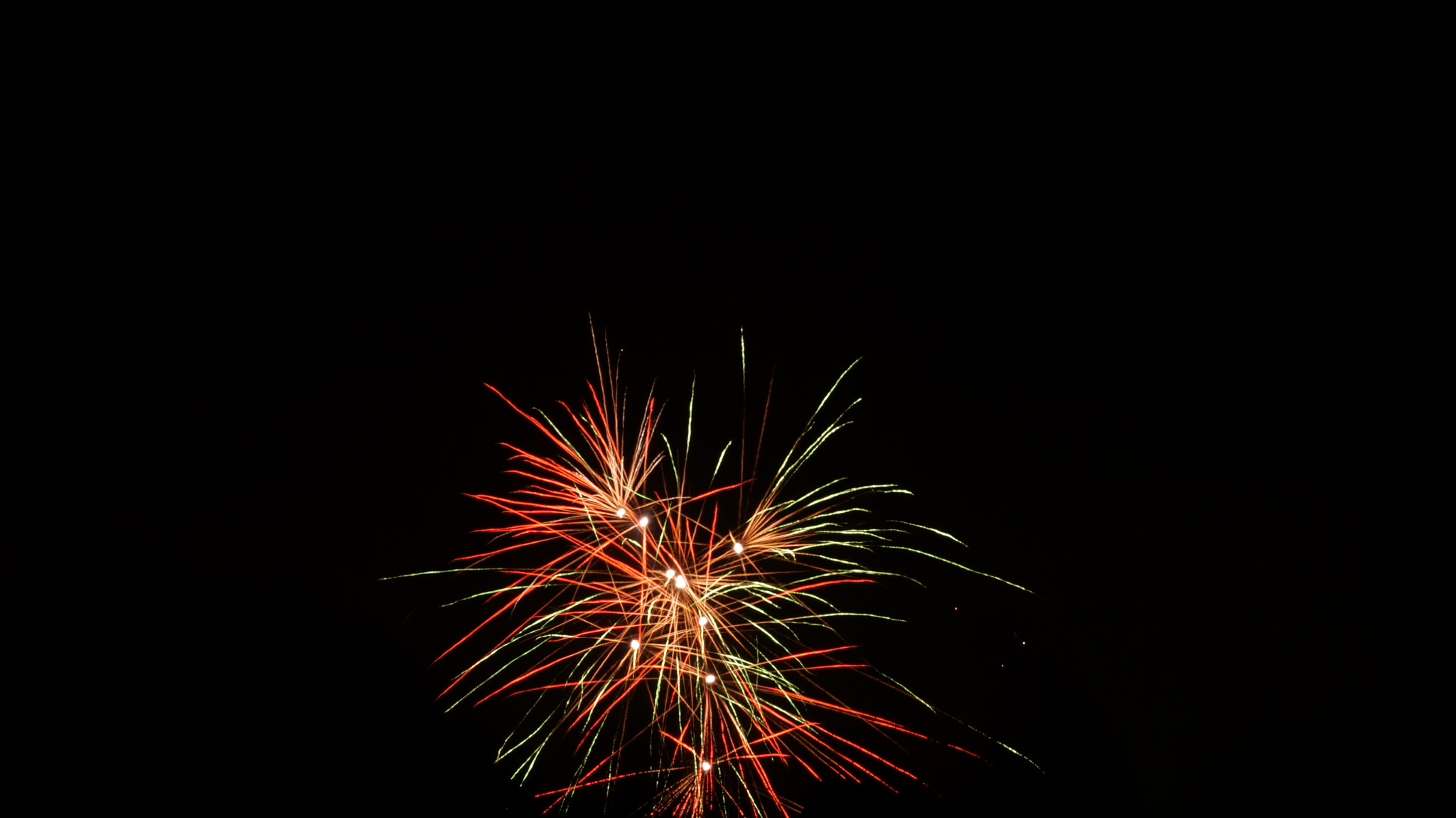 Sony SLT-A58 + Sony DT 30mm F2.8 Macro SAM sample photo. Happy new year! photography