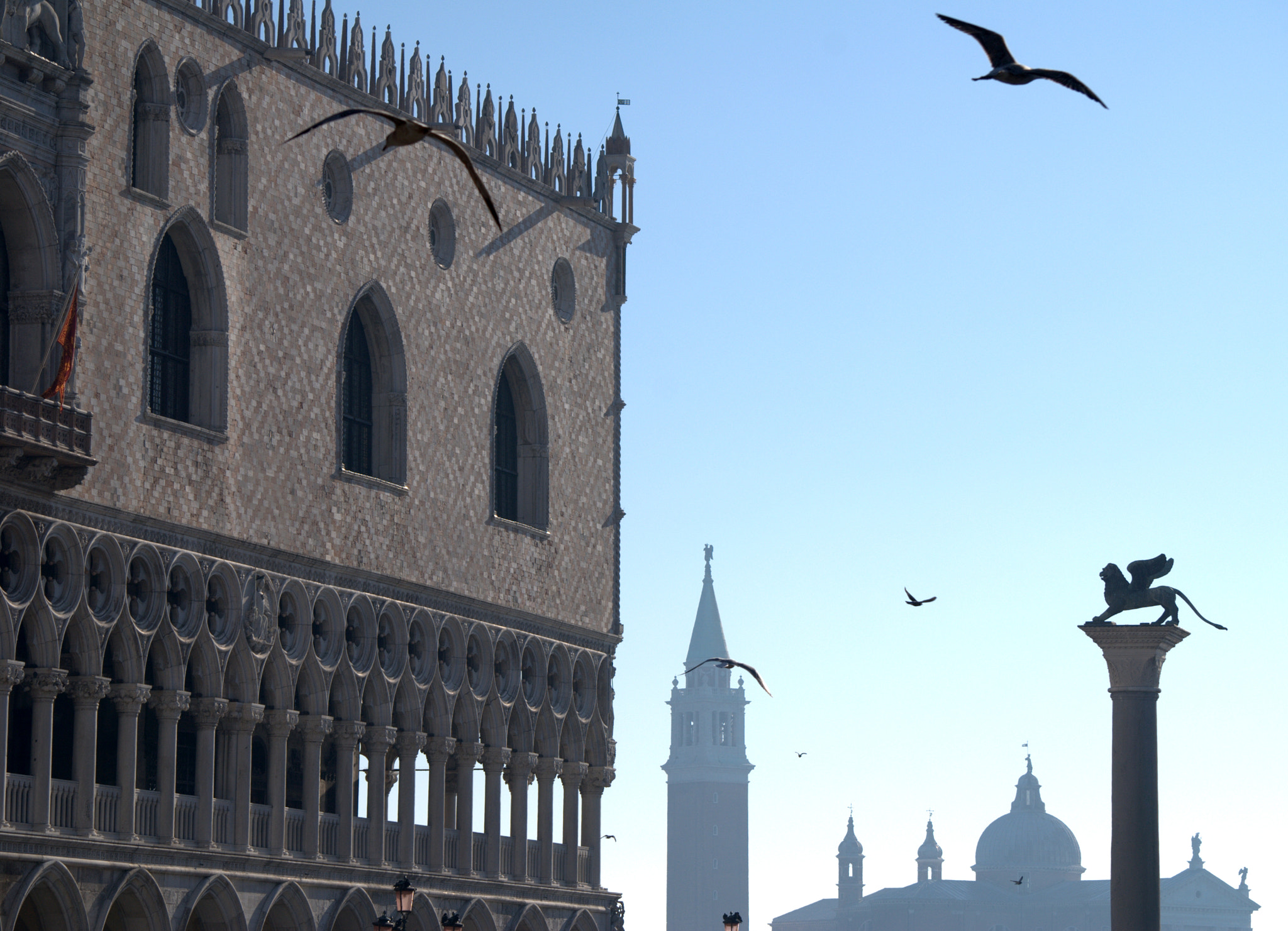 Nikon D40X sample photo. Venezia, lion and birds photography
