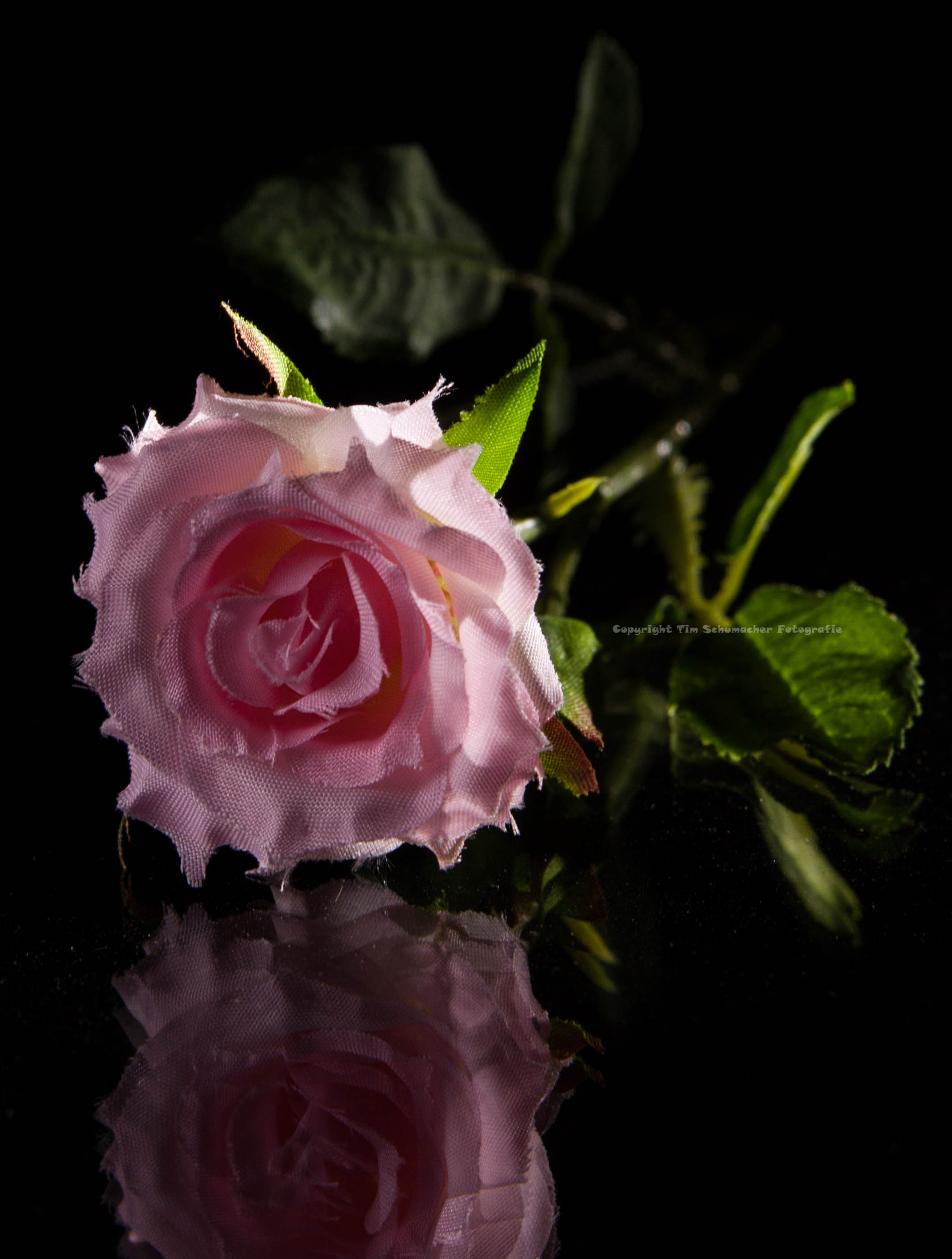 Canon EOS 50D sample photo. Mg photography