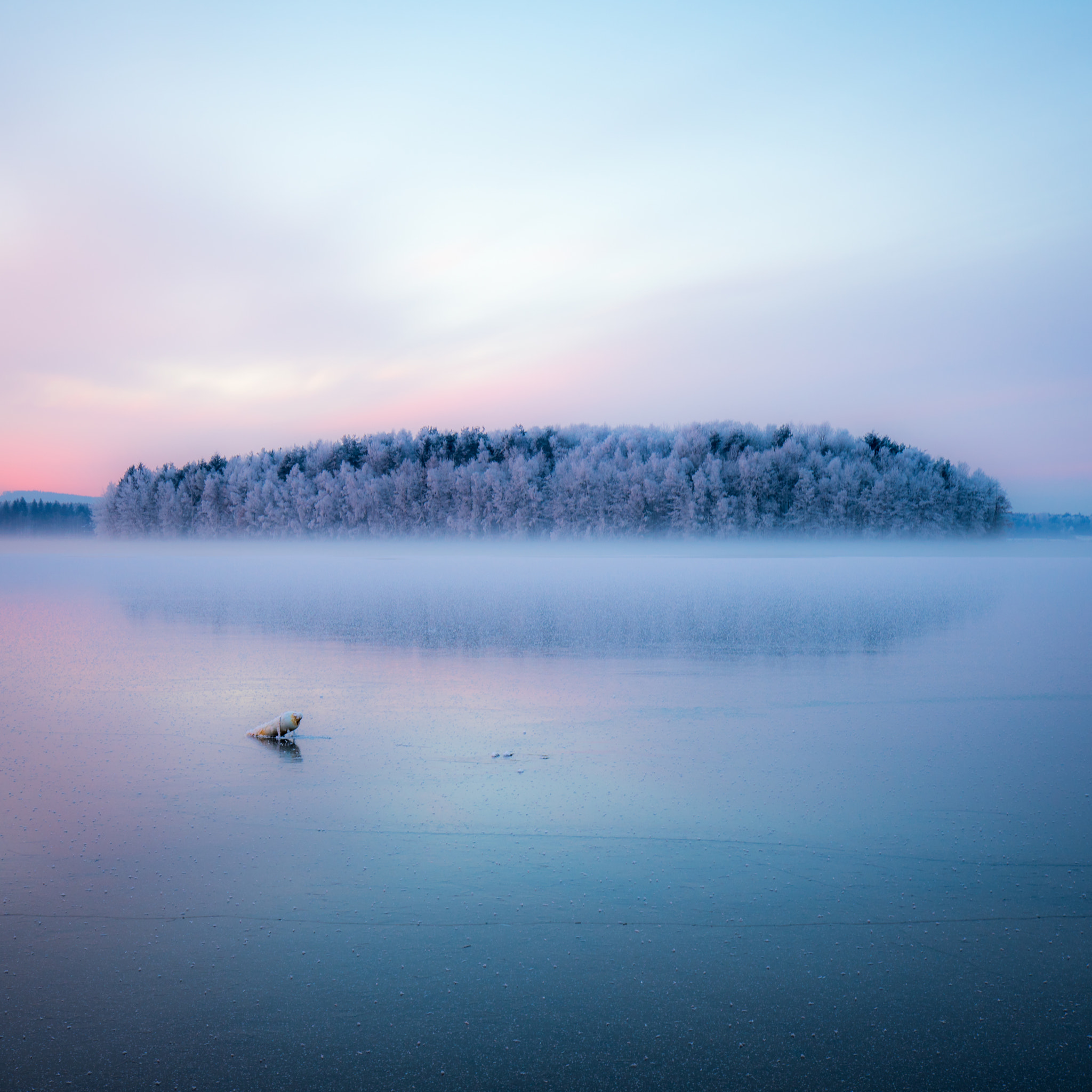 Tamron 18-270mm F3.5-6.3 Di II PZD sample photo. Winterwonderland photography