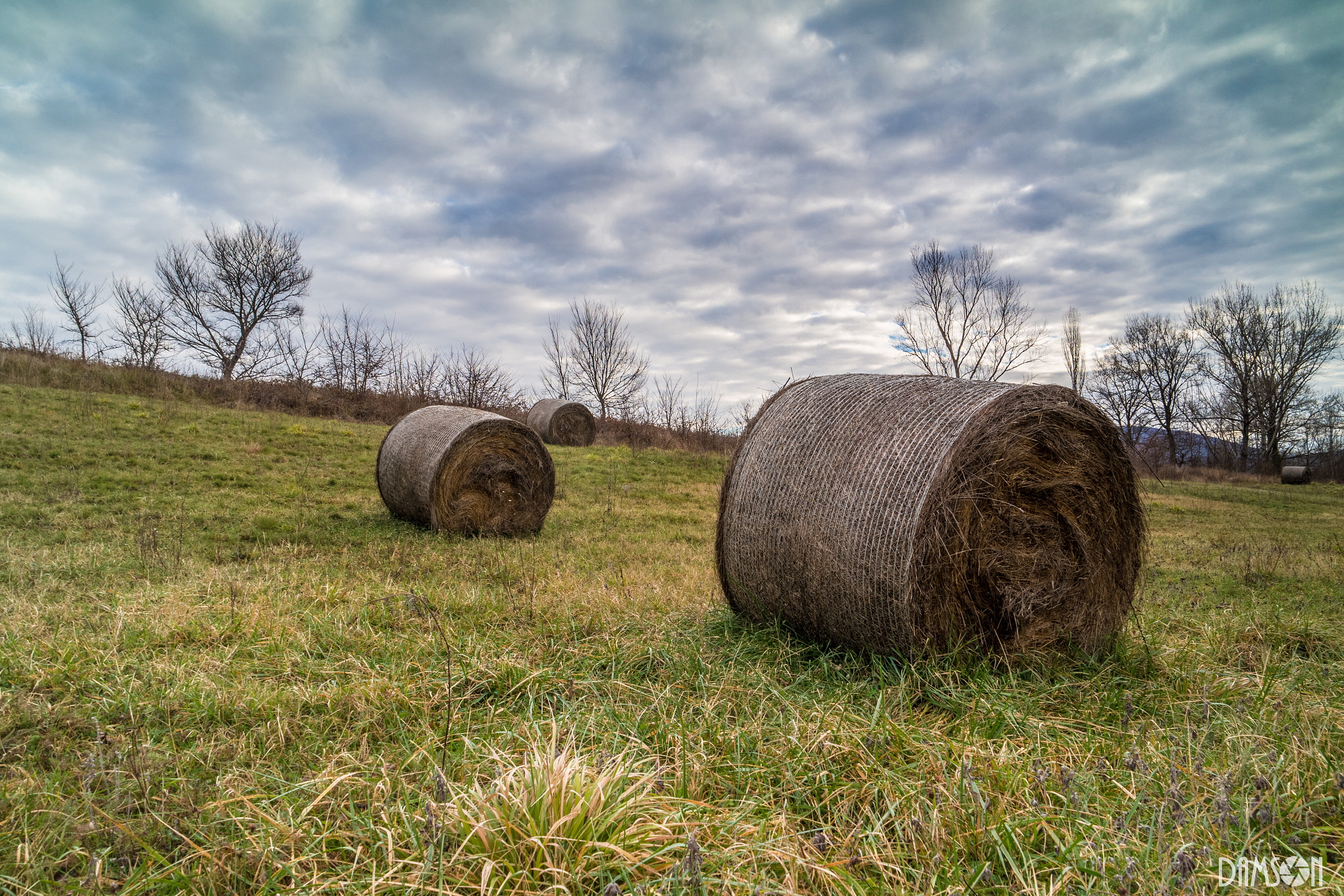 Samsung NX300M + Samsung NX 16-50mm F3.5-5.6 Power Zoom ED OIS sample photo. Grass photography