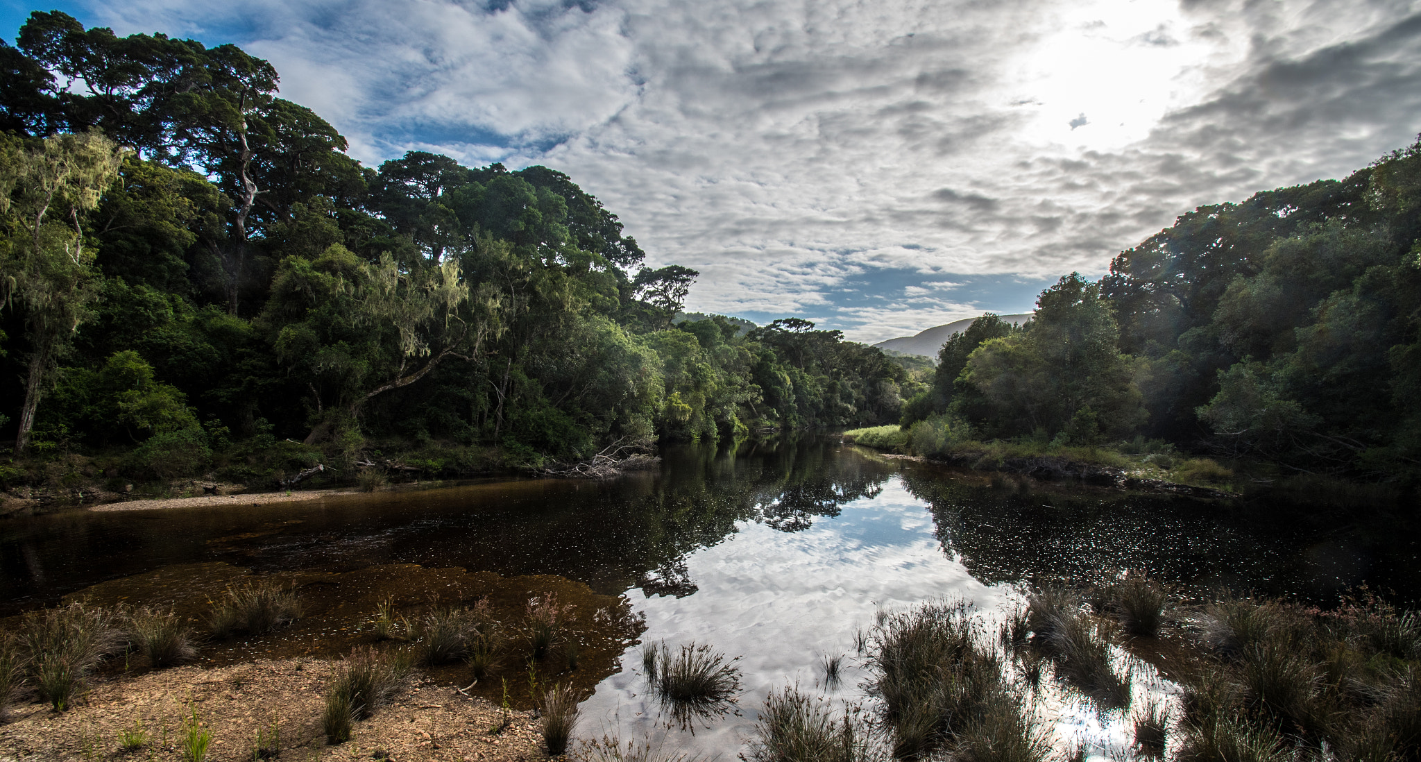 Nikon D500 sample photo. Coke river photography