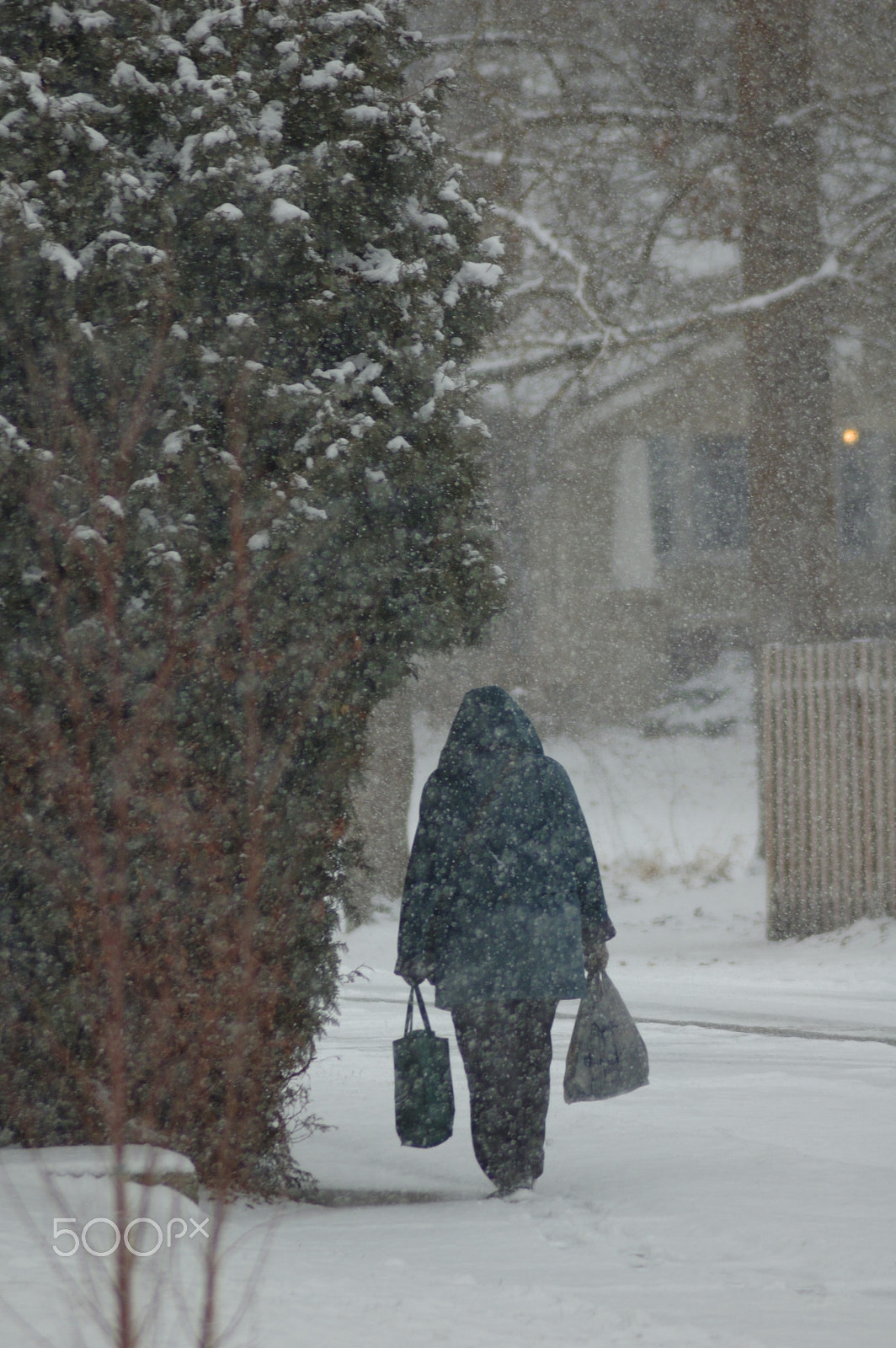 Nikon D70 + AF Zoom-Nikkor 70-300mm f/4-5.6D ED sample photo. Walking home. photography