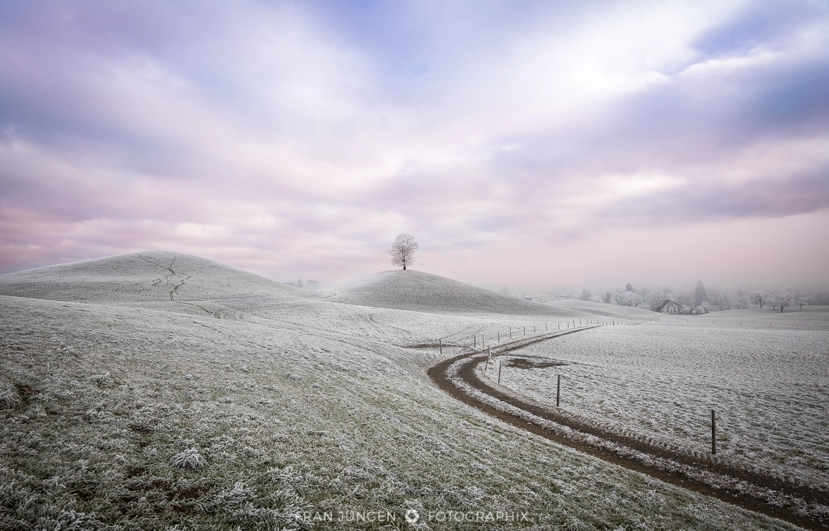 Canon EF 300mm f/2.8L sample photo. One tree hill photography