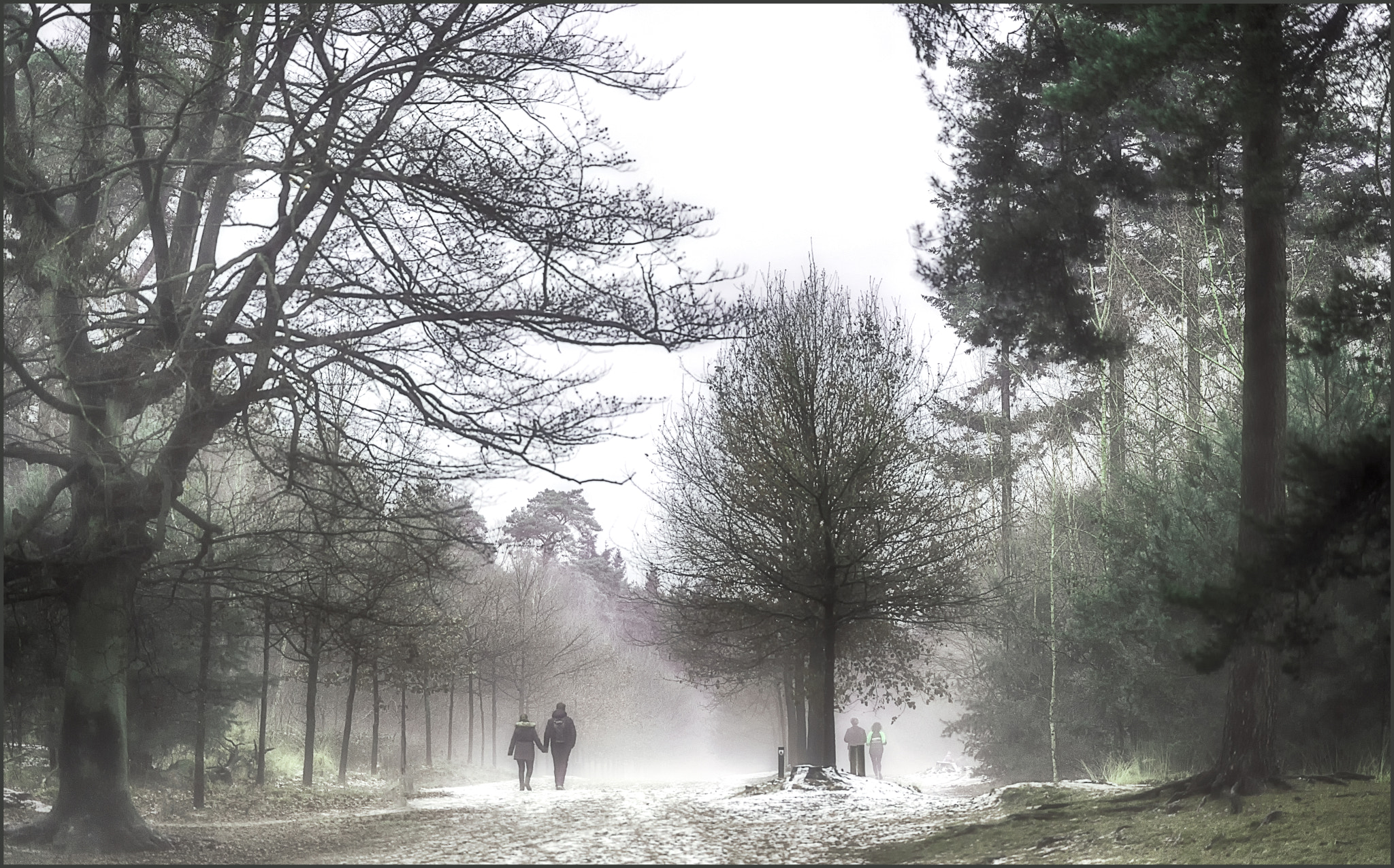 Nikon D610 + Nikon AF-S Nikkor 85mm F1.4G sample photo. To be walking into the fog photography