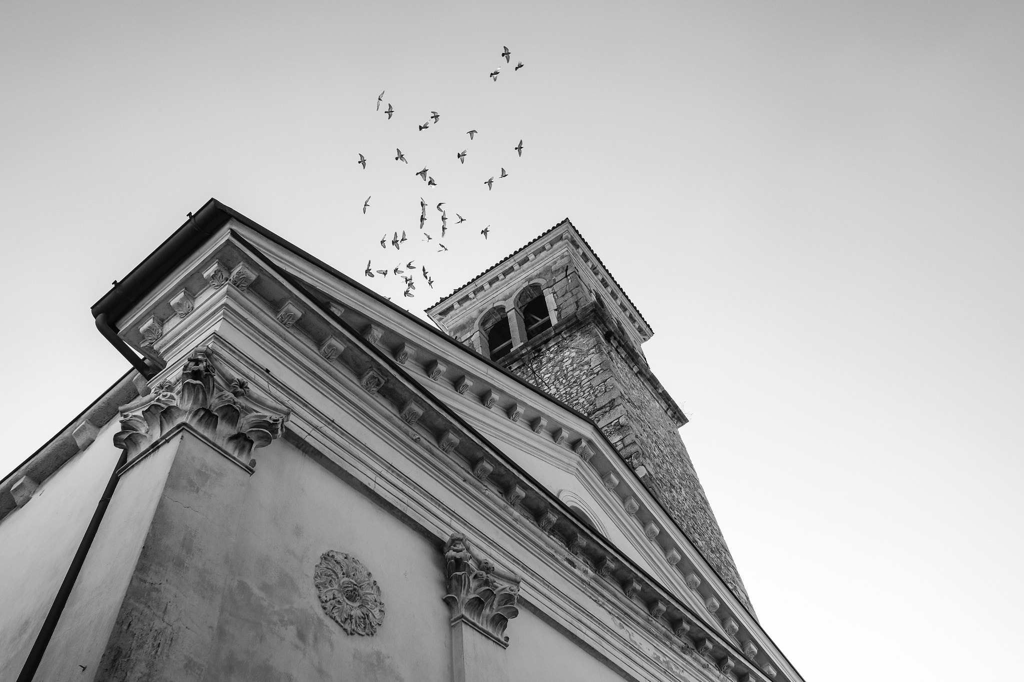 Fujifilm X-Pro2 + Fujifilm XF 18mm F2 R sample photo. Birds of the bell tower photography
