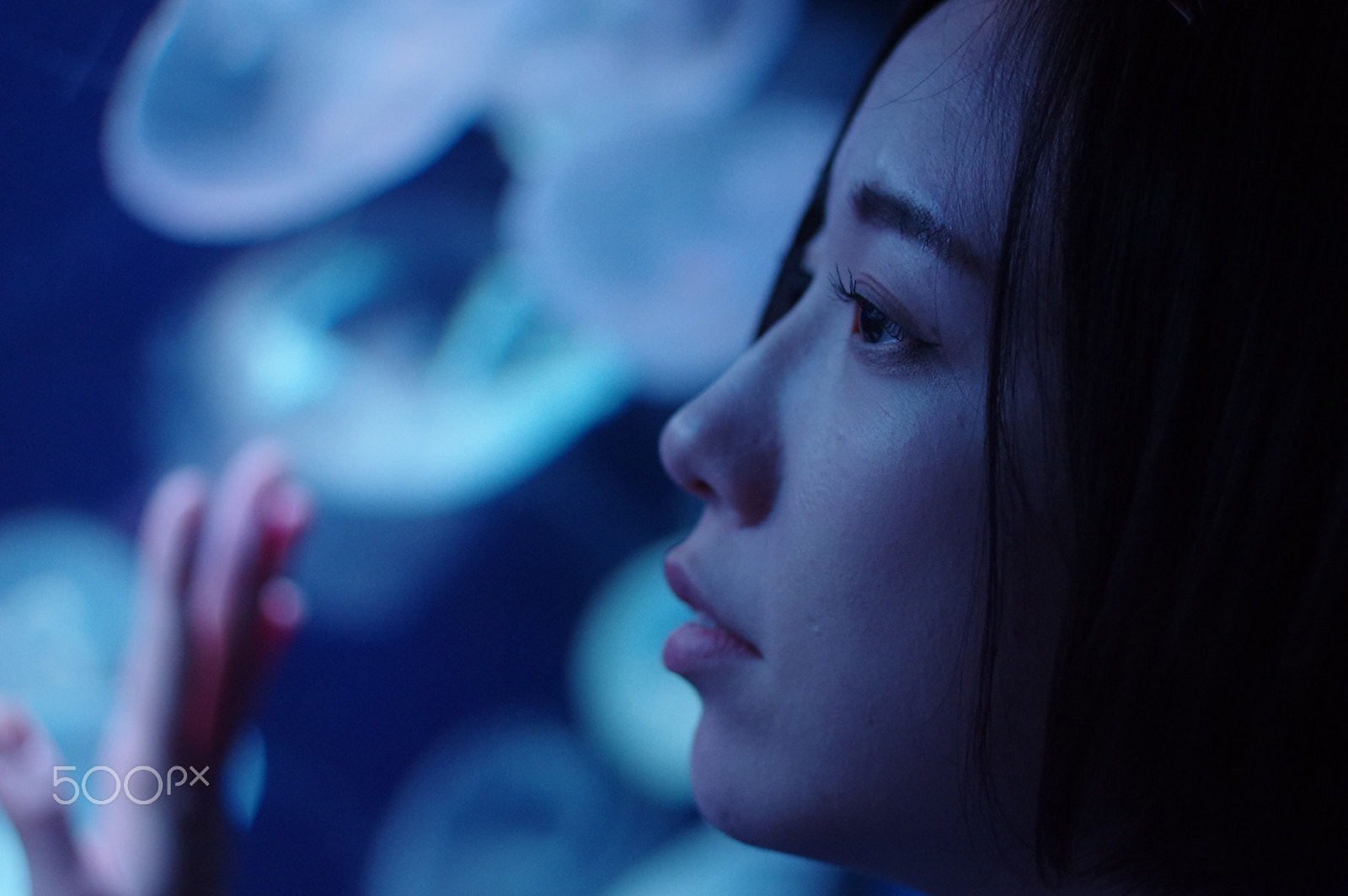 Pentax smc FA 77mm 1.8 Limited sample photo. Jellyfish photography