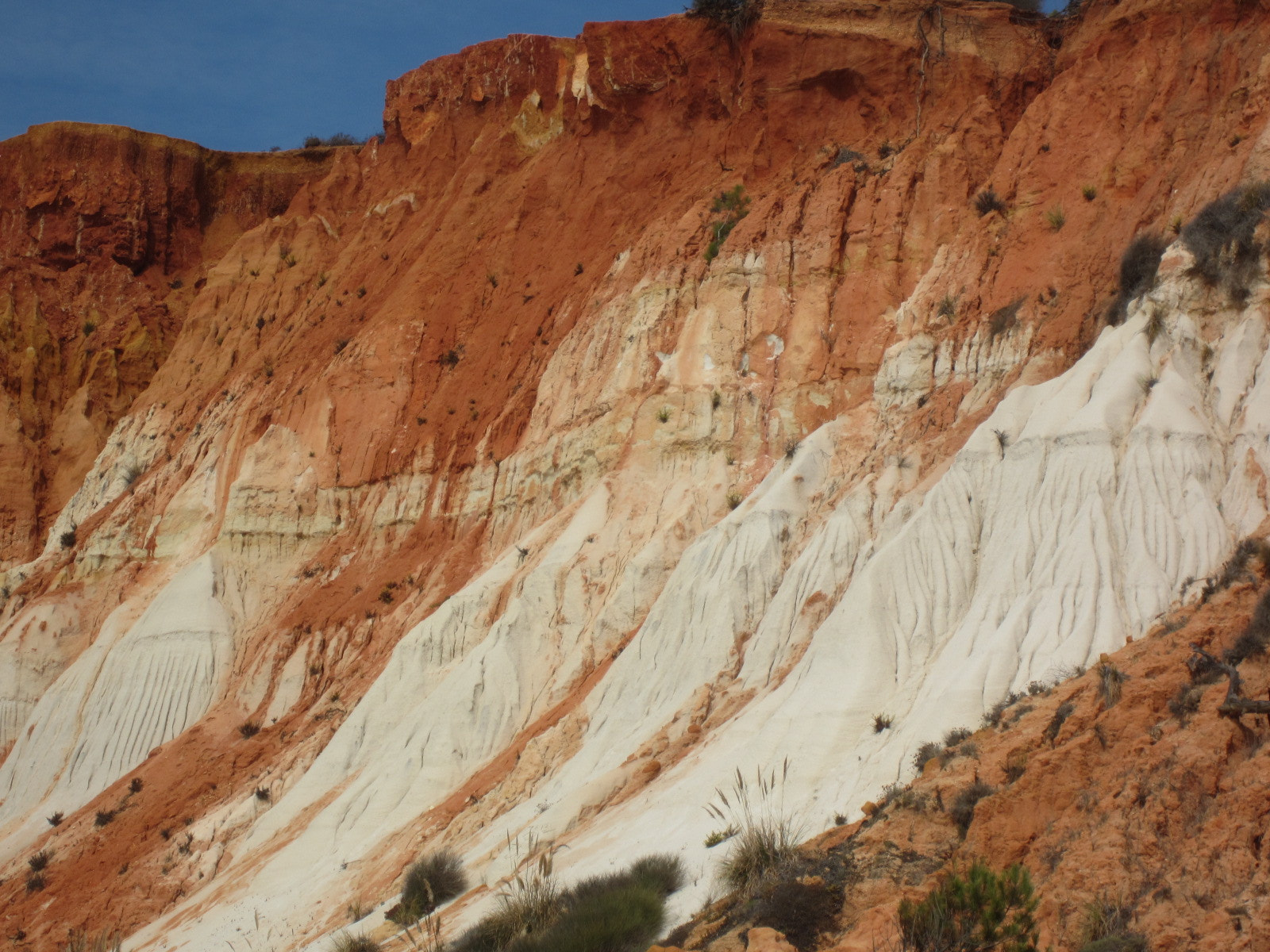 Canon PowerShot ELPH 300 HS (IXUS 220 HS / IXY 410F) sample photo. Portuguese cliffs photography