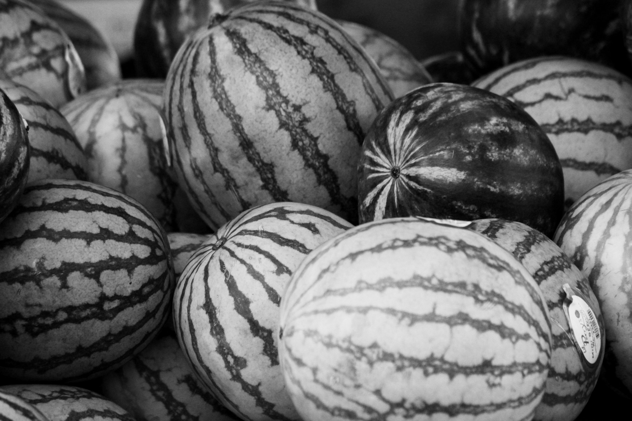 Canon EF-S 55-250mm F4-5.6 IS II sample photo. Watermelons photography