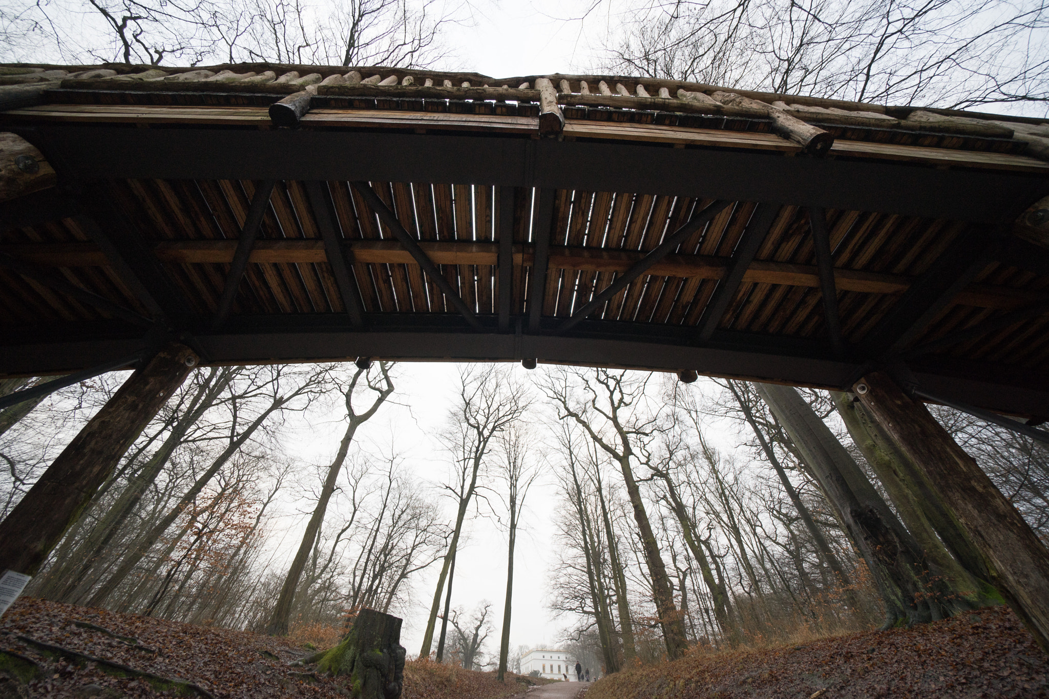 Voigtlander ULTRA WIDE-HELIAR 12mm F5.6 III sample photo