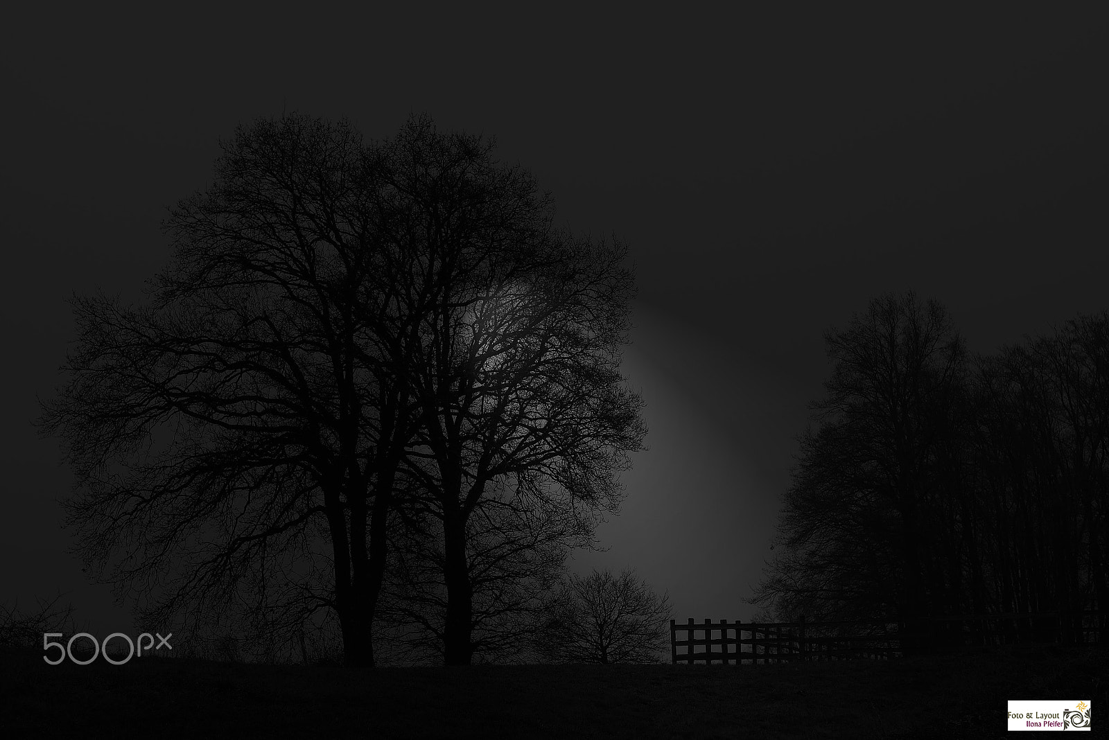 Panasonic Lumix DMC-GX7 + Olympus M.Zuiko Digital 45mm F1.8 sample photo. Moonlight photography