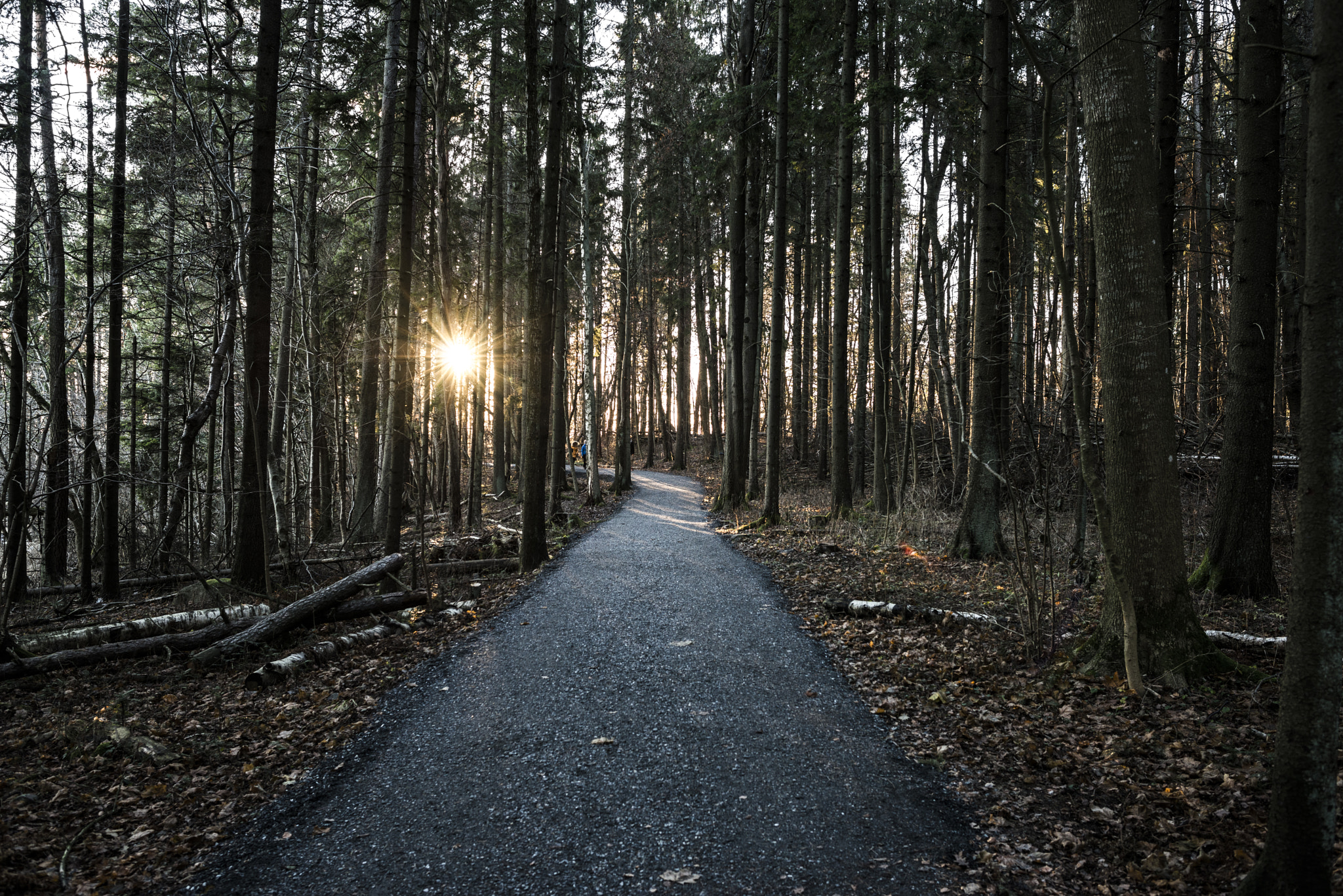Nikon D800 + Nikon AF-S Nikkor 28mm F1.8G sample photo. Road to... photography
