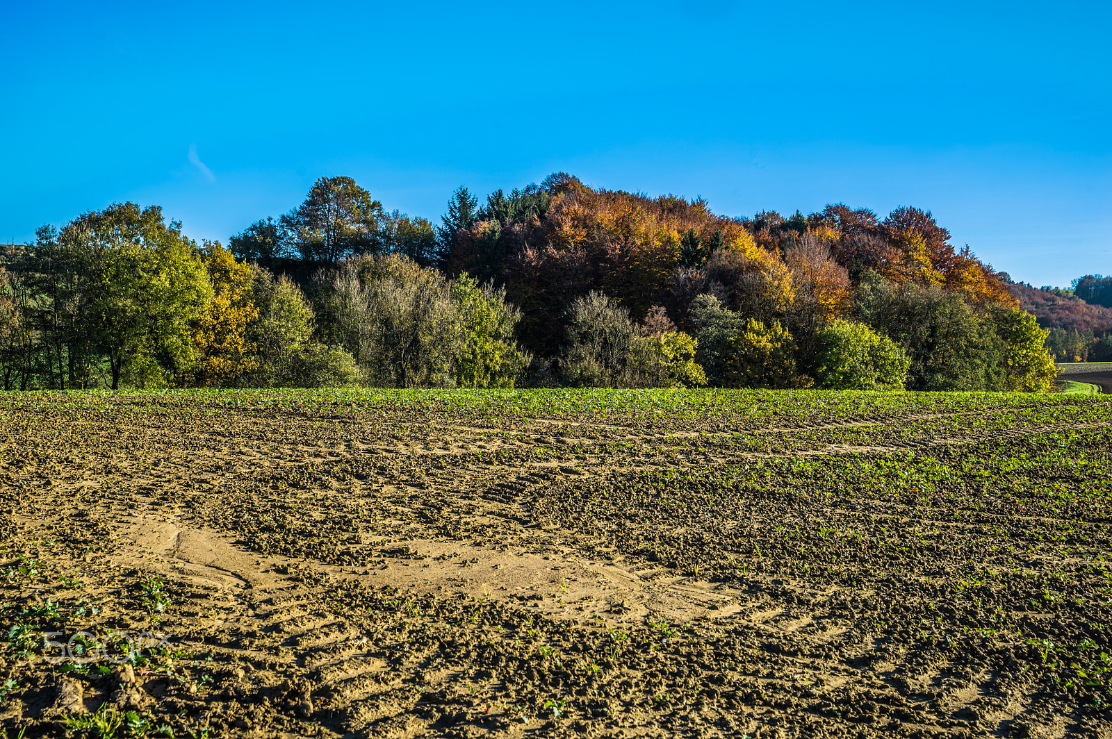 Sony a7 + Sony 28-75mm F2.8 SAM sample photo. Grub im herbst photography