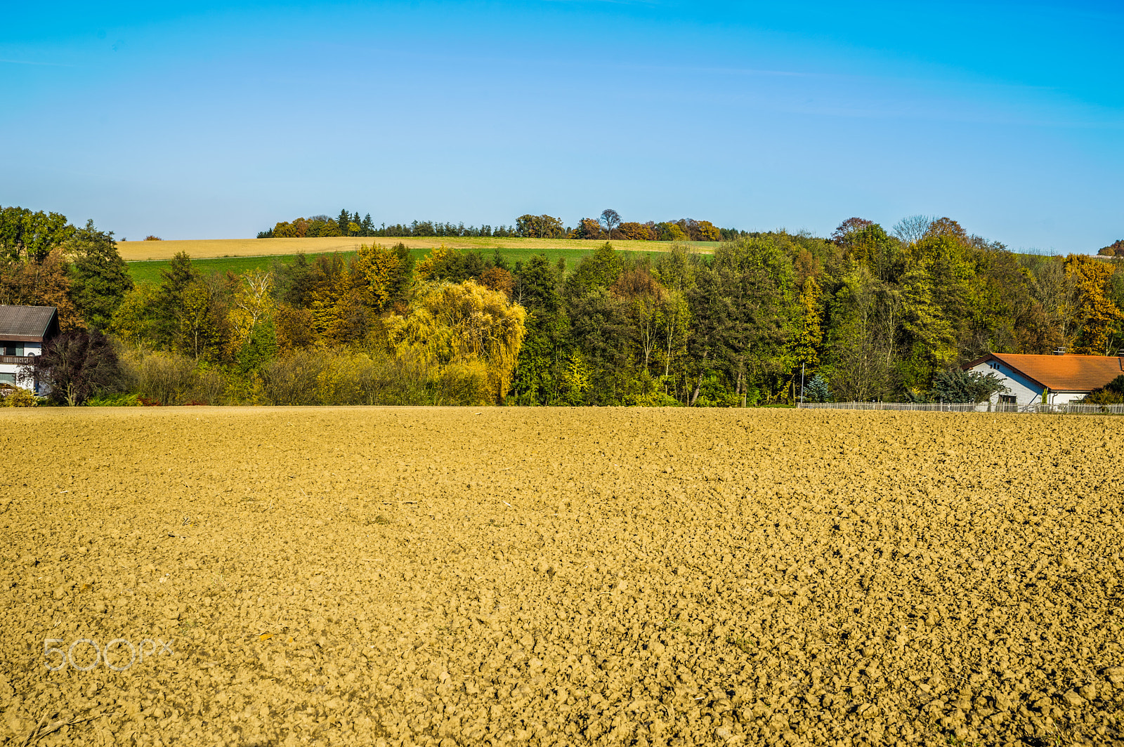 Sony a7 + Sony 28-75mm F2.8 SAM sample photo. Grub im herbst photography