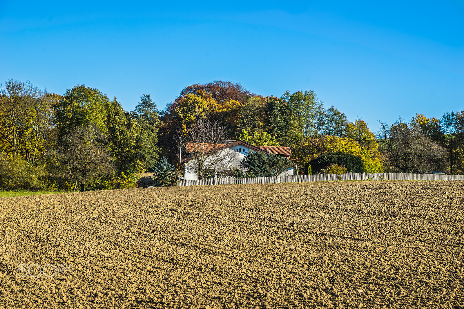 Sony a7 + Sony 28-75mm F2.8 SAM sample photo. Grub im herbst photography