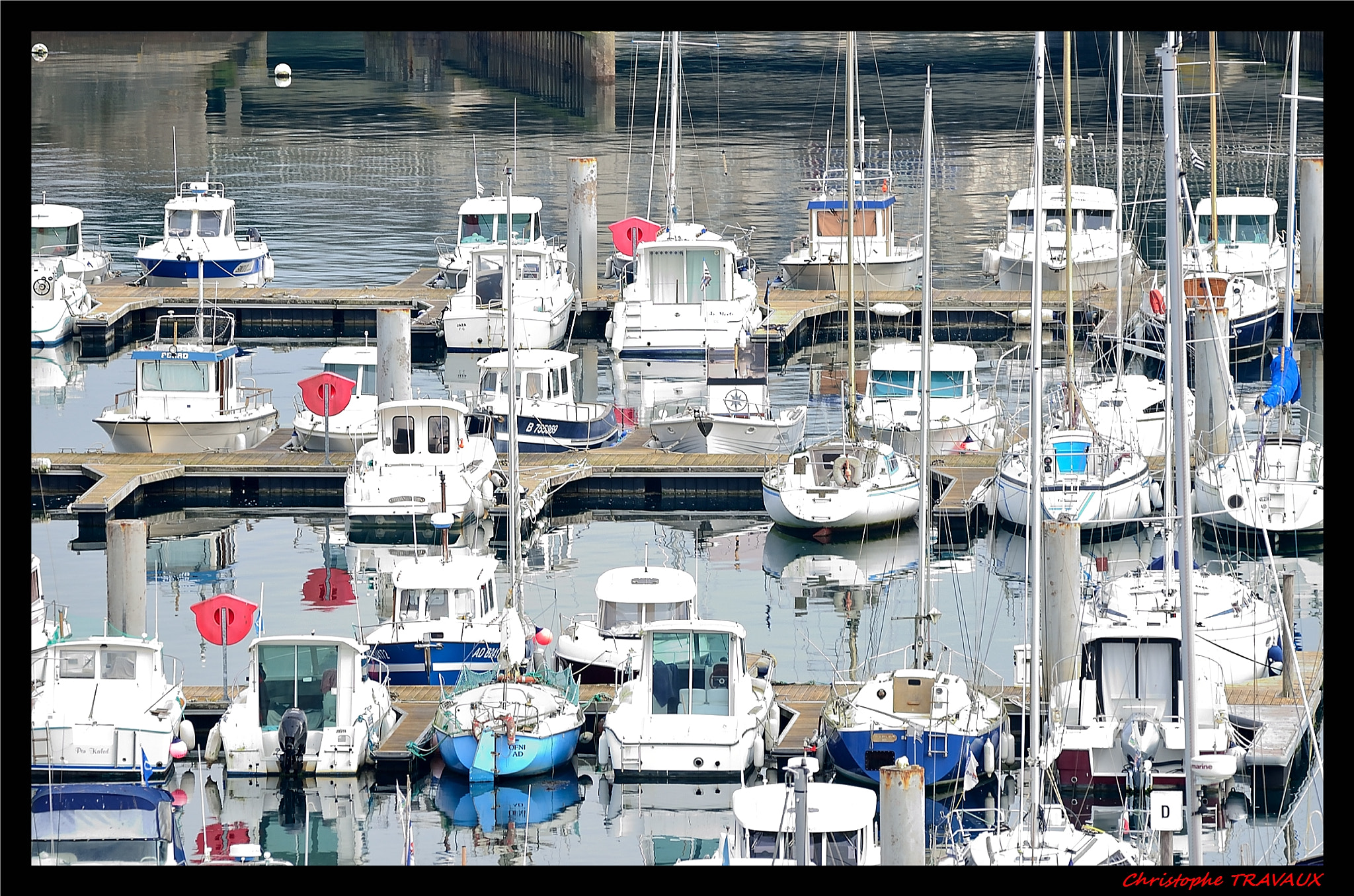 Sigma 150-600mm F5-6.3 DG OS HSM | C sample photo. Gf photography