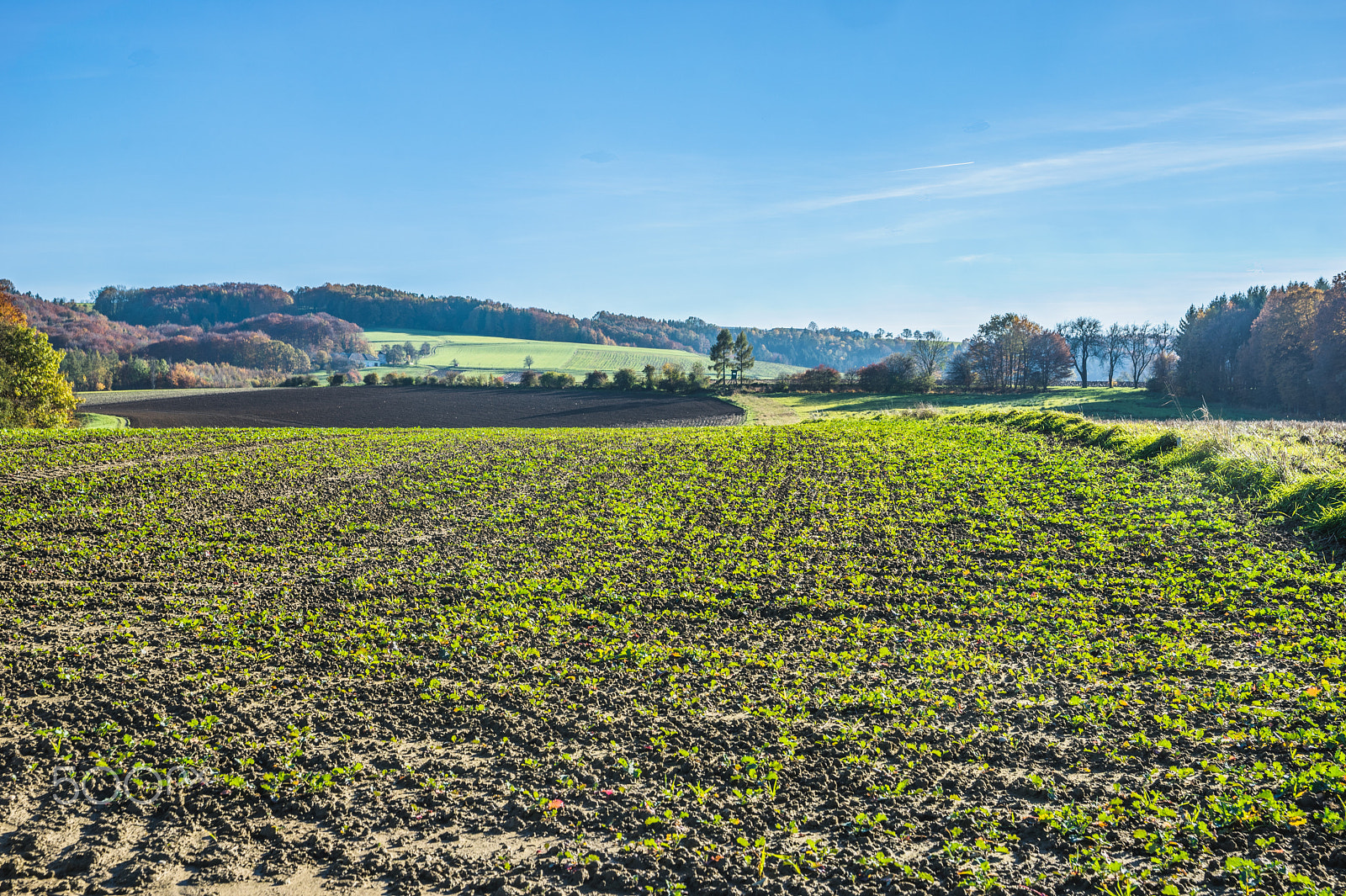 Sony a7 + Sony 28-75mm F2.8 SAM sample photo. Grub im herbst photography