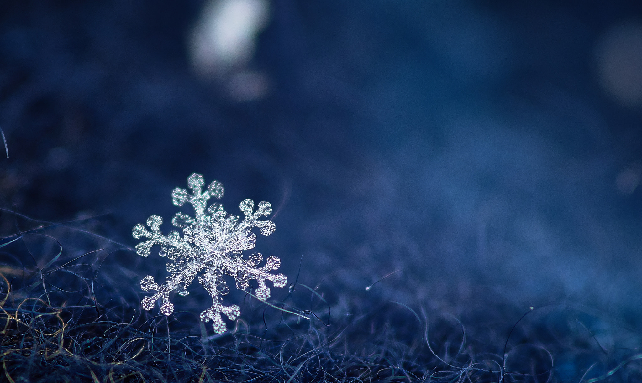 Sony SLT-A58 + Minolta AF 100mm F2.8 Macro [New] sample photo. Crystal blue photography