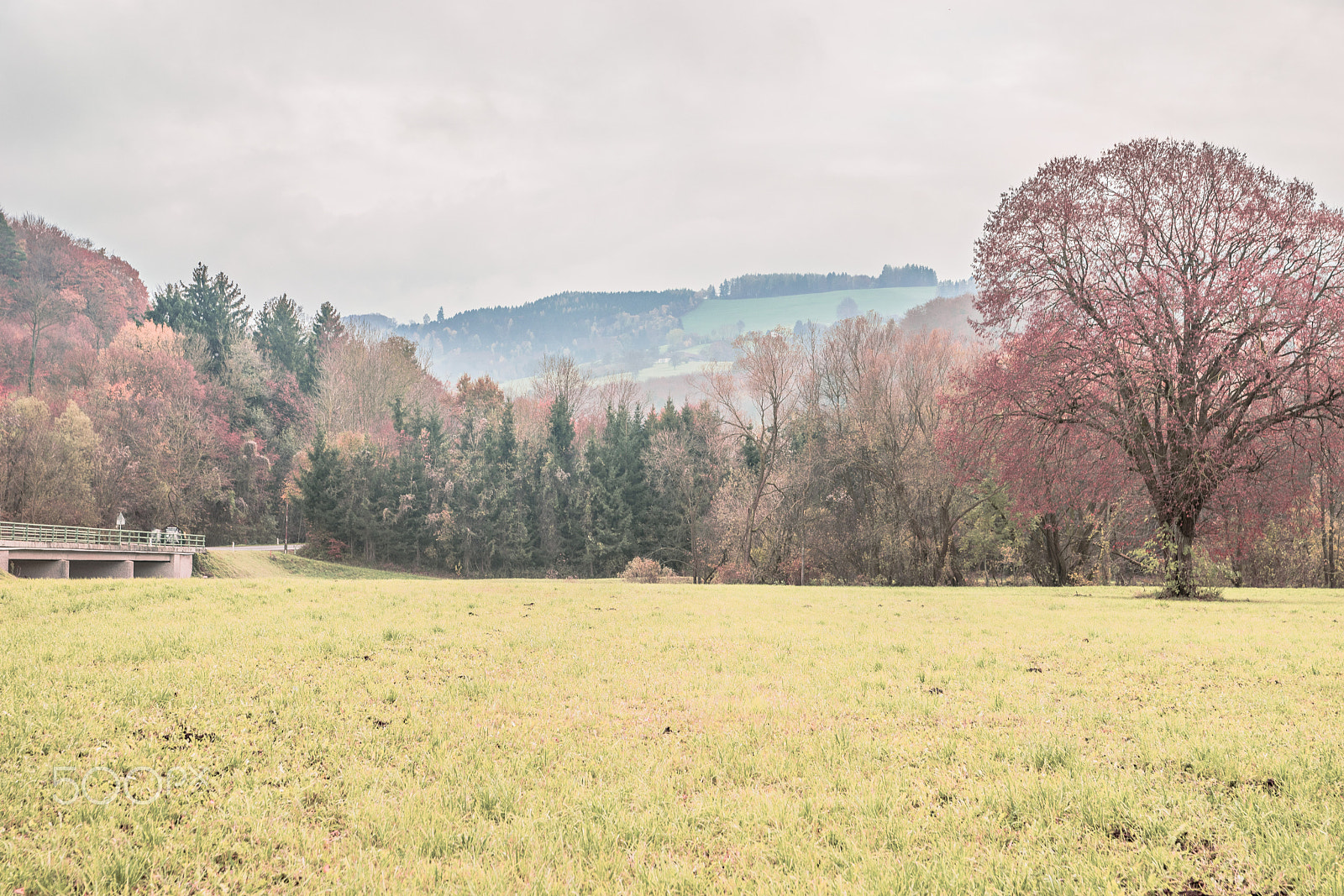 Sony a7 + Sony 28-75mm F2.8 SAM sample photo. Kammerhof im herbst photography