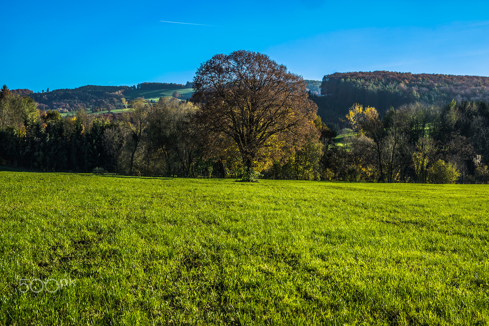 Sony a7 + Sony 28-75mm F2.8 SAM sample photo. Kammerhof im herbst photography